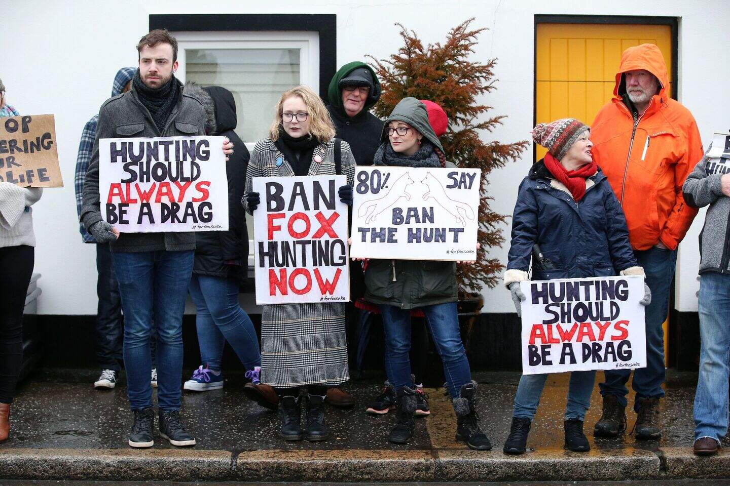 North Down Hunt: Animal rights activists bid ‘good riddance’ to NI fox ...