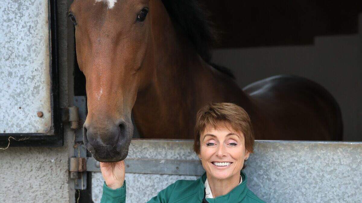 Horsing around: the benefits of equine therapy | Belfast Telegraph
