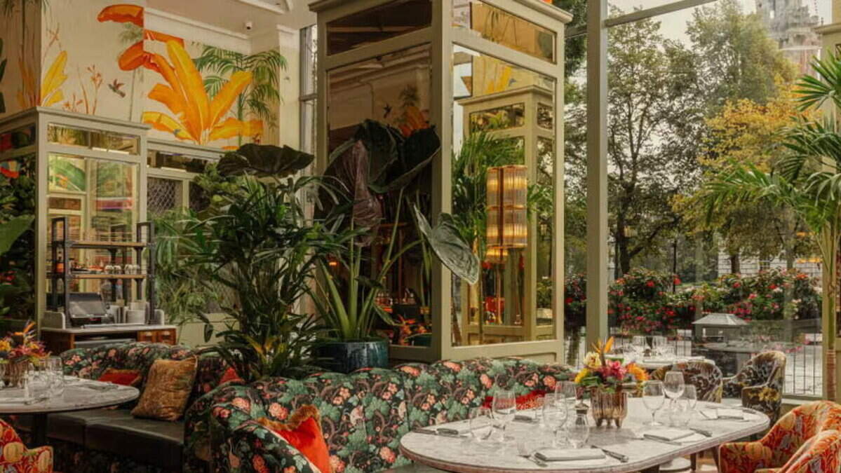 Restaurant review: The Ivy provides a blooming brilliant night out in Belfast... there’s just one downside