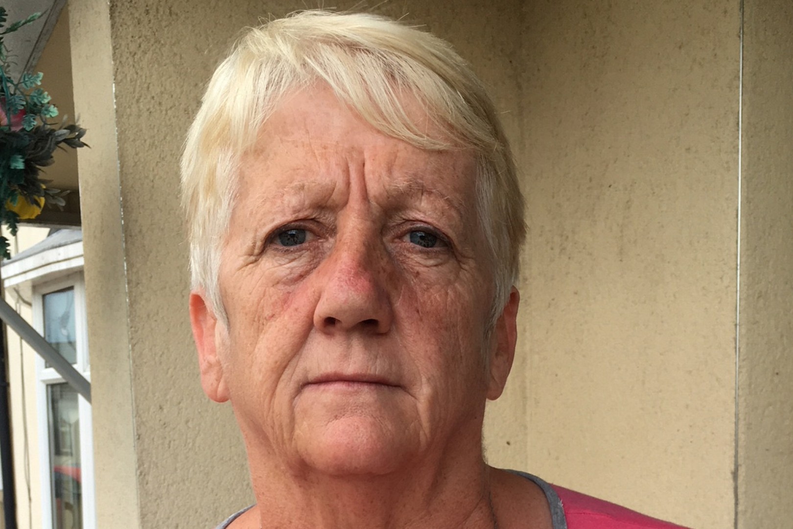 Derry gran's heartbreak as pet mauled by bull terriers in park is put ...