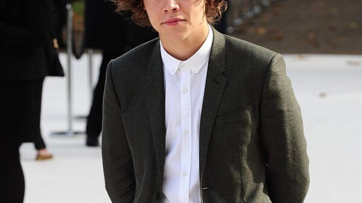 Harry Styles buys posh 'party pad' | Belfast Telegraph