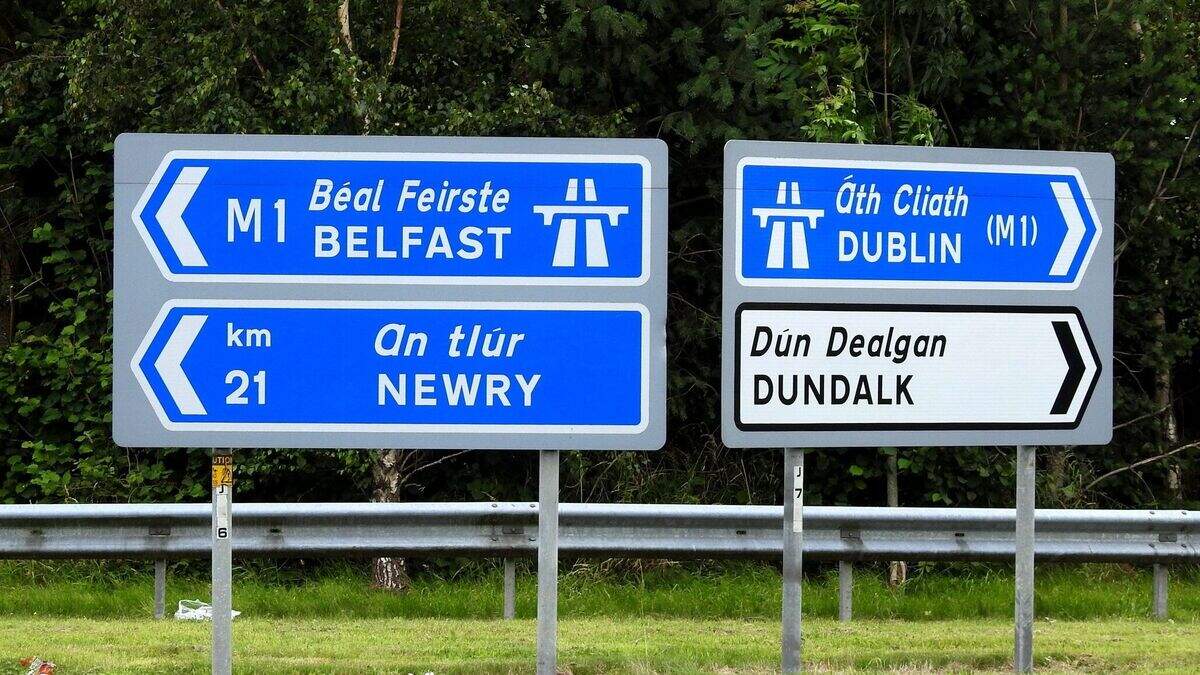 Half of people in Ireland in favour of migrant checkpoints at NI border ...