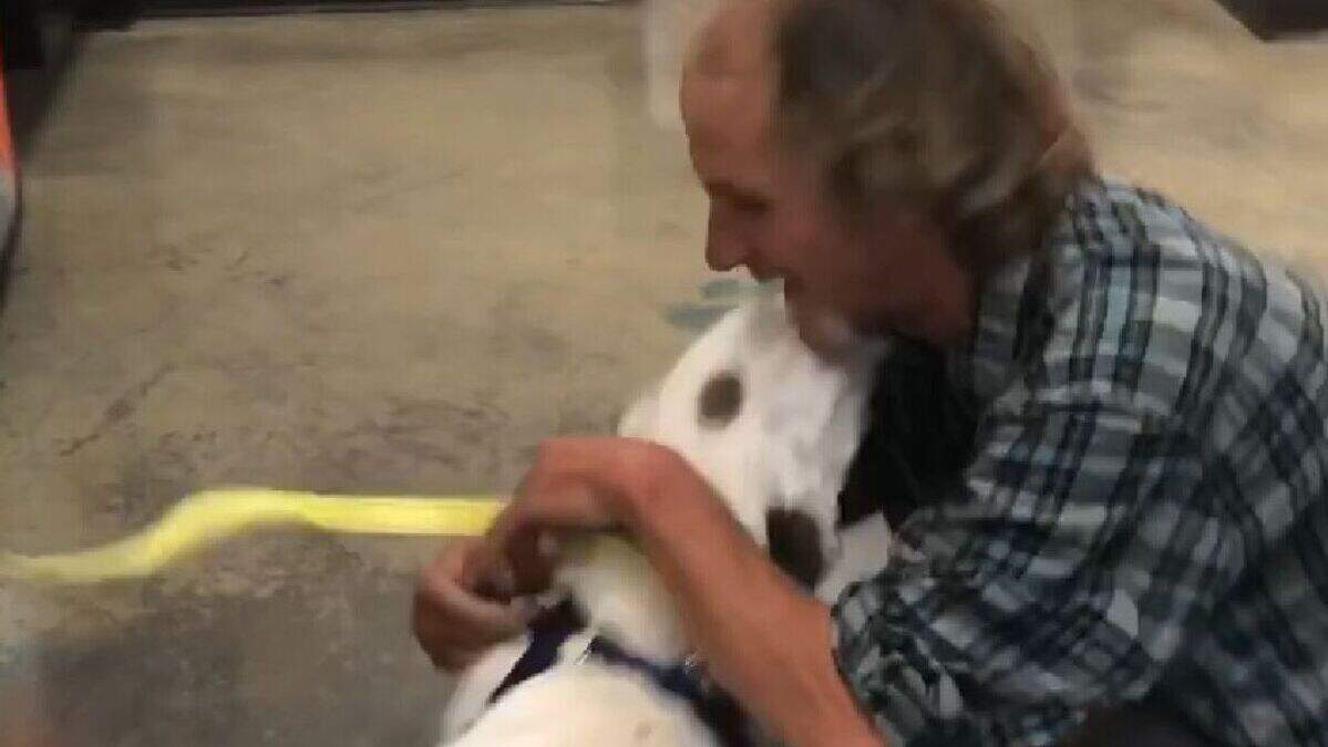 Homeless man reunited with dog missing for two weeks | Belfast Telegraph