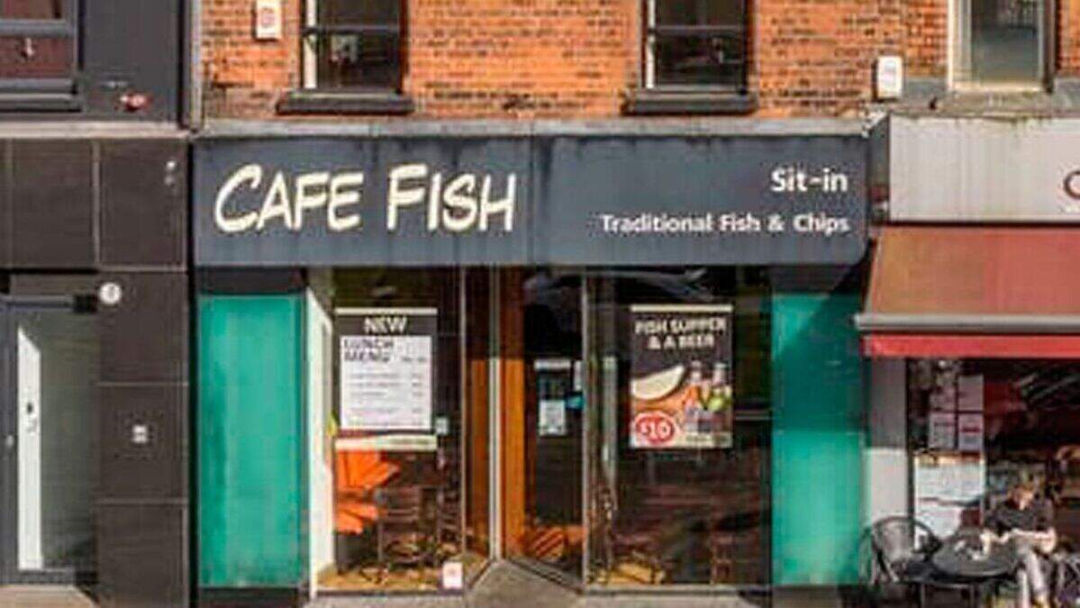 Cafe Fish Belfast Restaurant Review | Belfast Telegraph