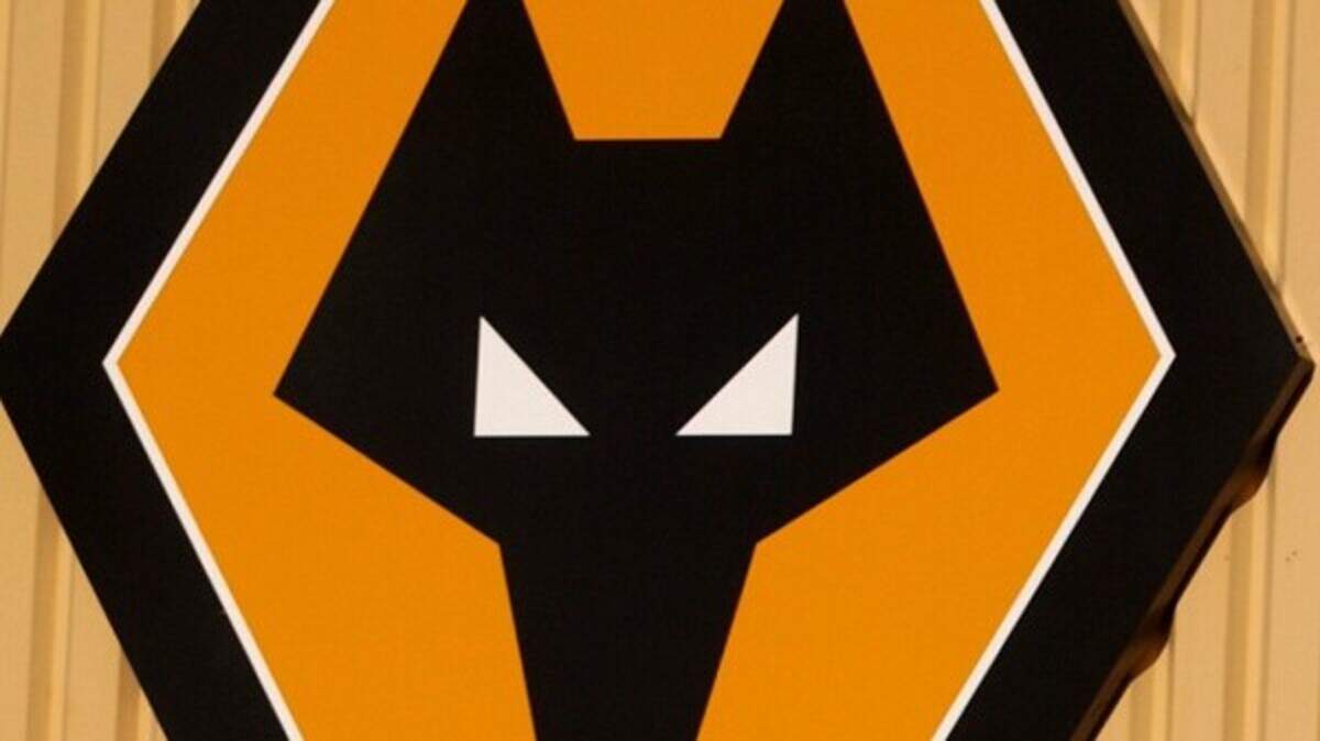 Wolves profit from promotion | Belfast Telegraph