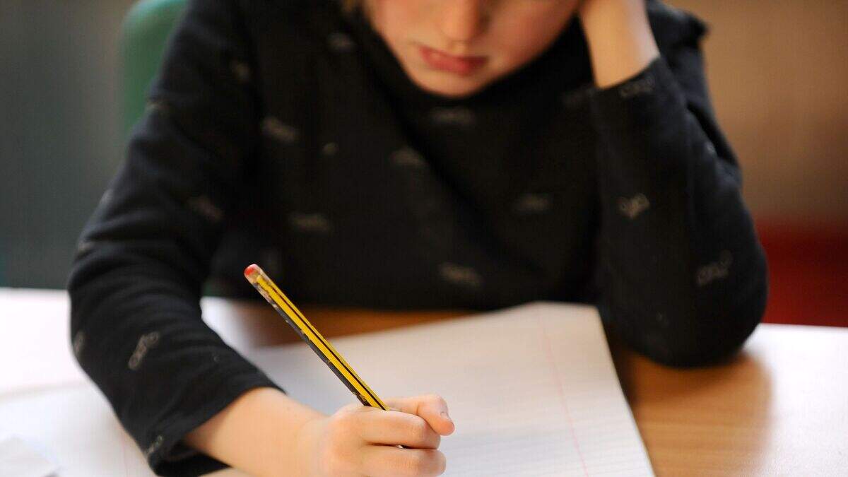 Use of restraint and seclusion in schools largely unmonitored, report ...
