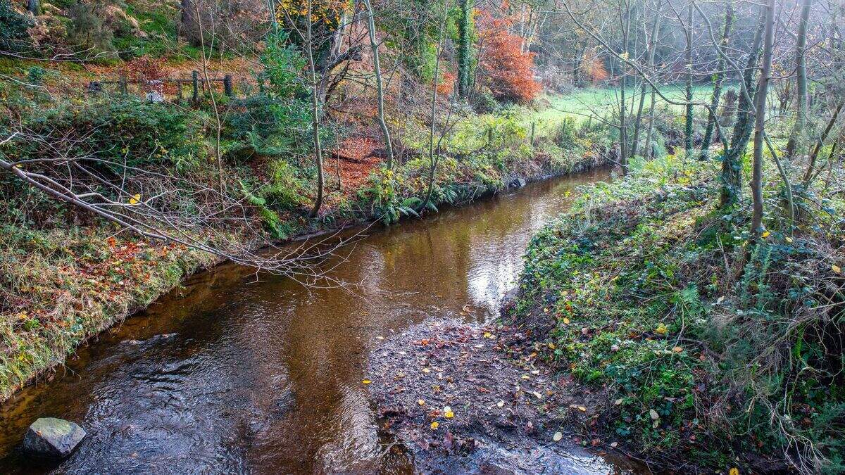 Muff: Concern Derry river could take years to recover after more than ...
