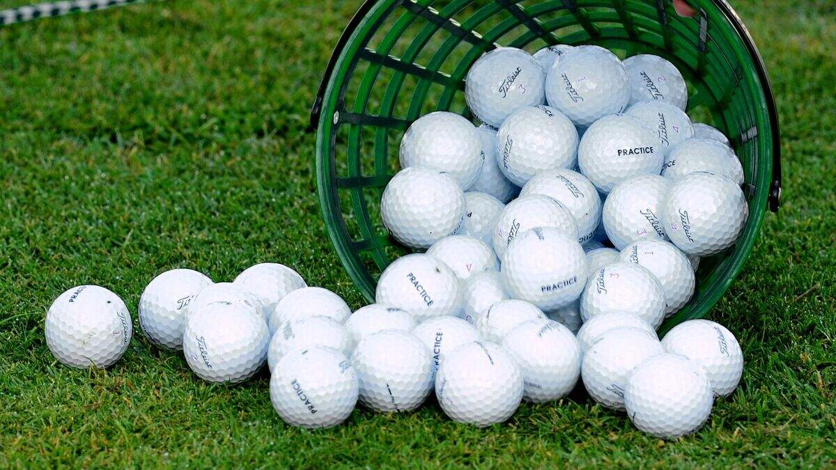Homeless man charged in stabbing death of champion golfer in Iowa ...