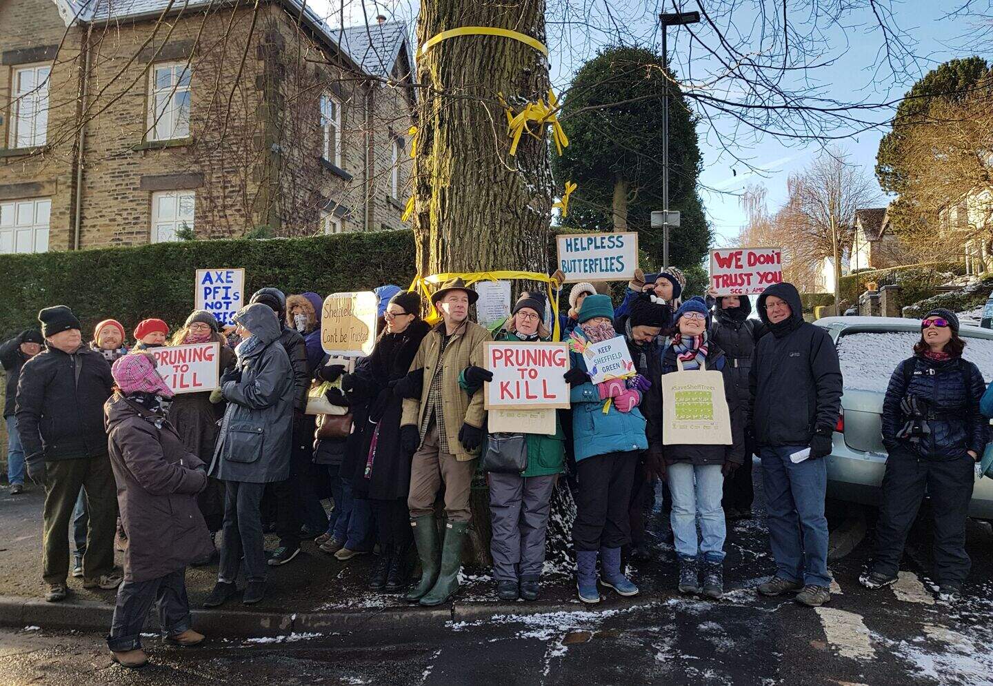 ‘Truth and reconciliation’ report into Sheffield’s trees saga to be ...