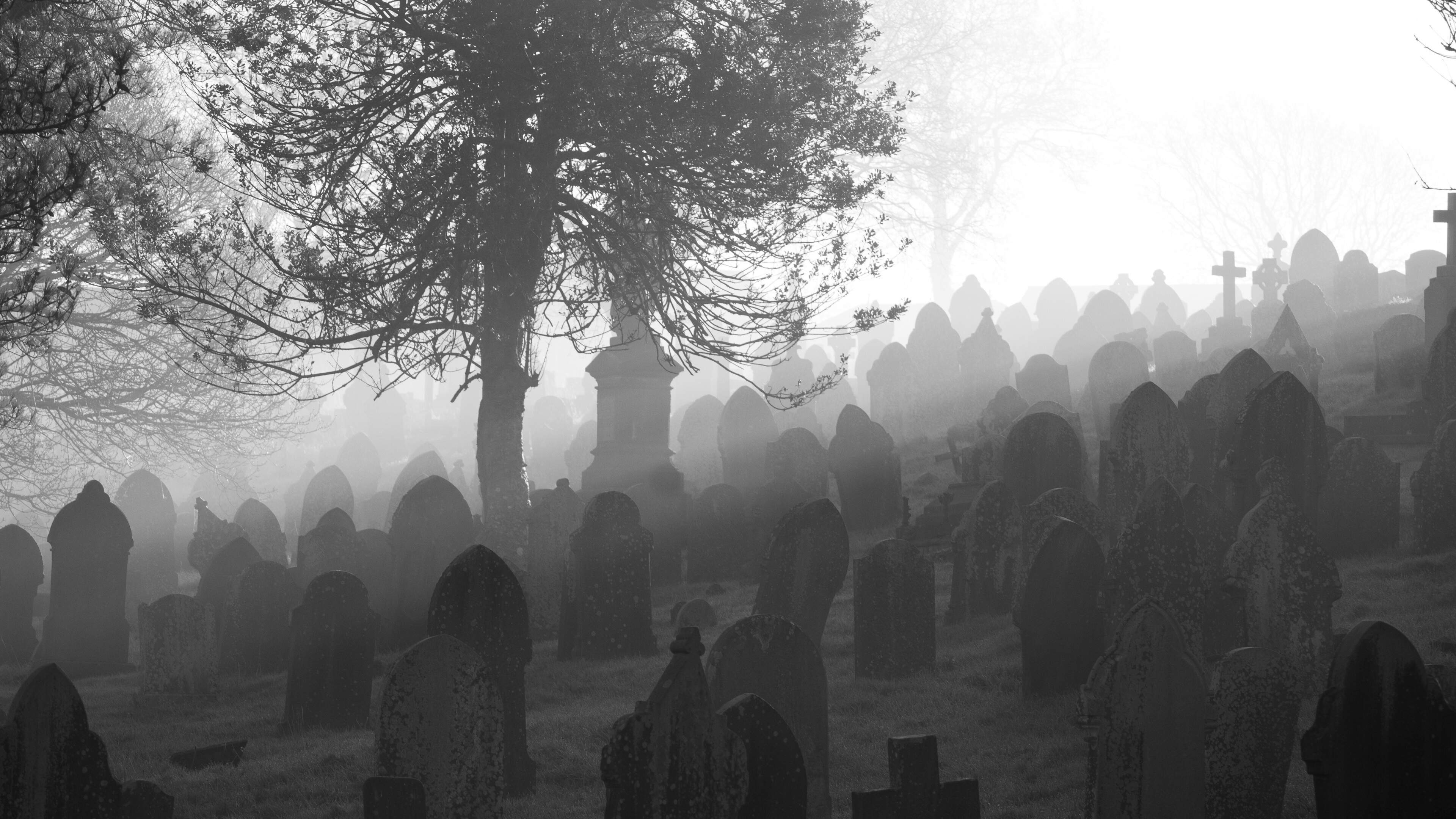 Councillors back plans to mark ‘mass paupers’ graves’ and those containing figures dating back to Siege of Derry