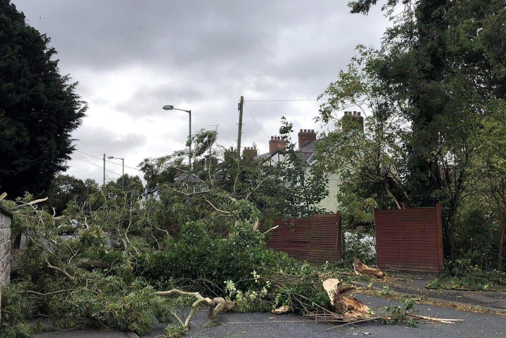 All power restored to Northern Ireland following Storm Ali | Belfast ...