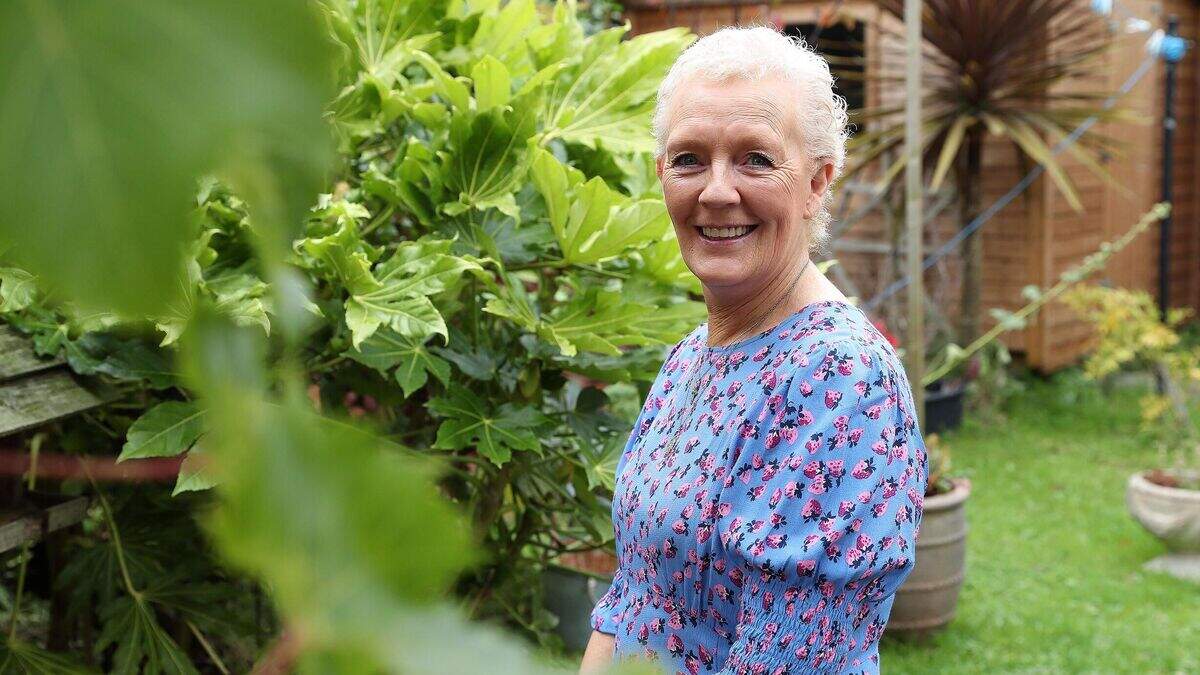 From diagnosis to recovery: The fightback begins moment the ‘Big C ...