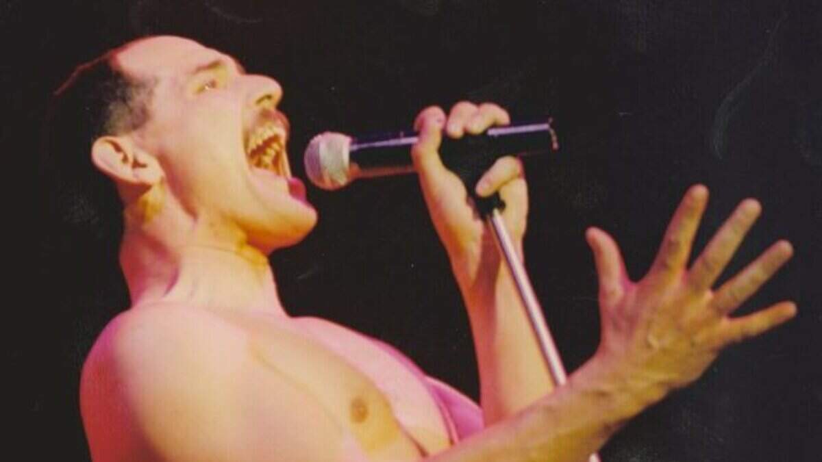 Freddie Mercury tribute singer Flash Harry wants to be an MP | Belfast ...