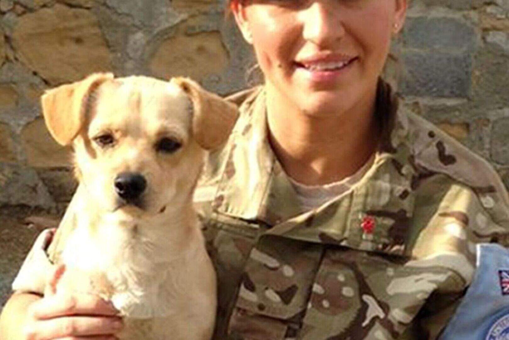 Dog saved by soldier home for Xmas | Belfast Telegraph