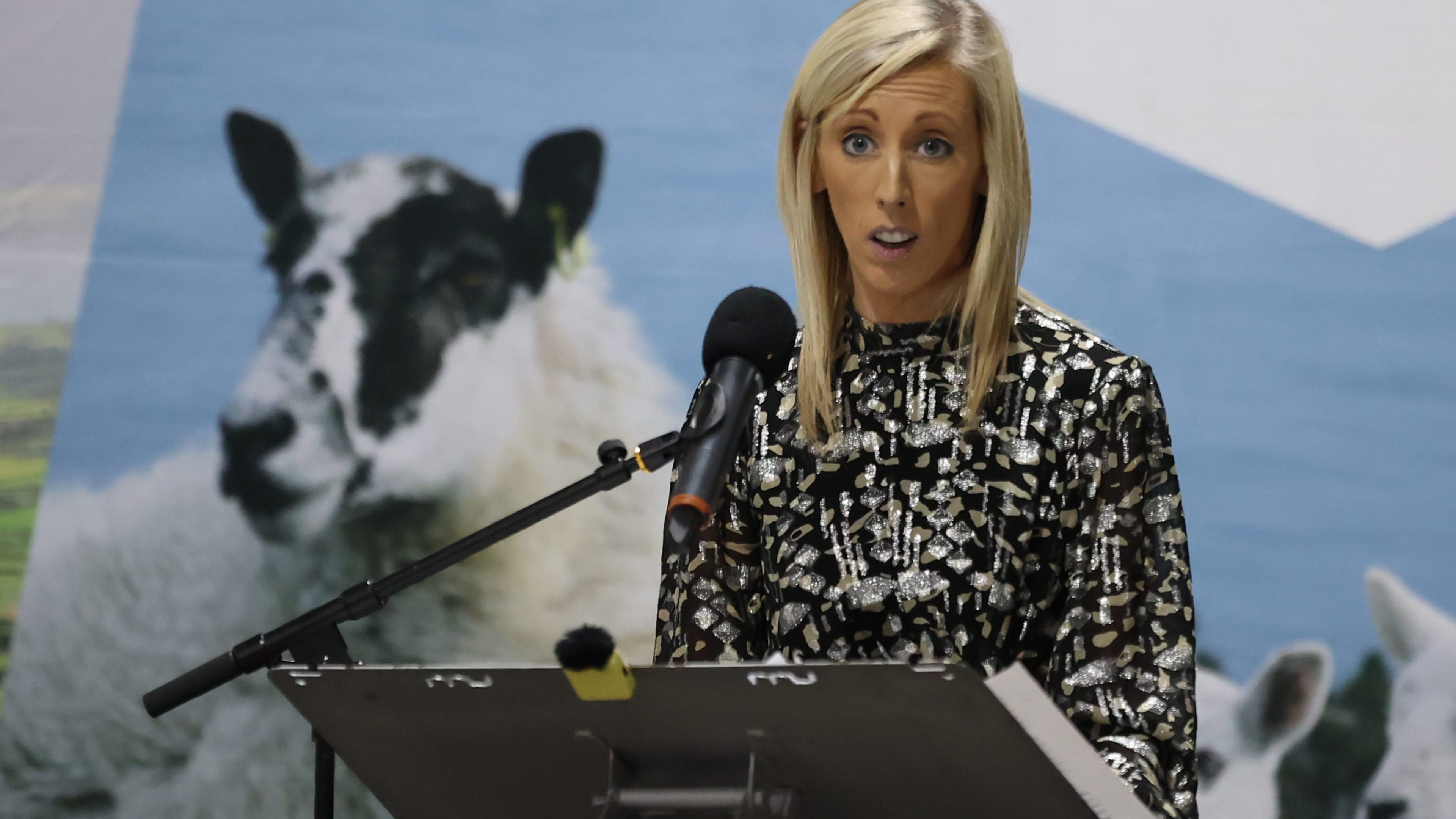 DUP MP urges farmers and animal welfare campaigners to join Stormont protest over Co Tyrone cattle cull