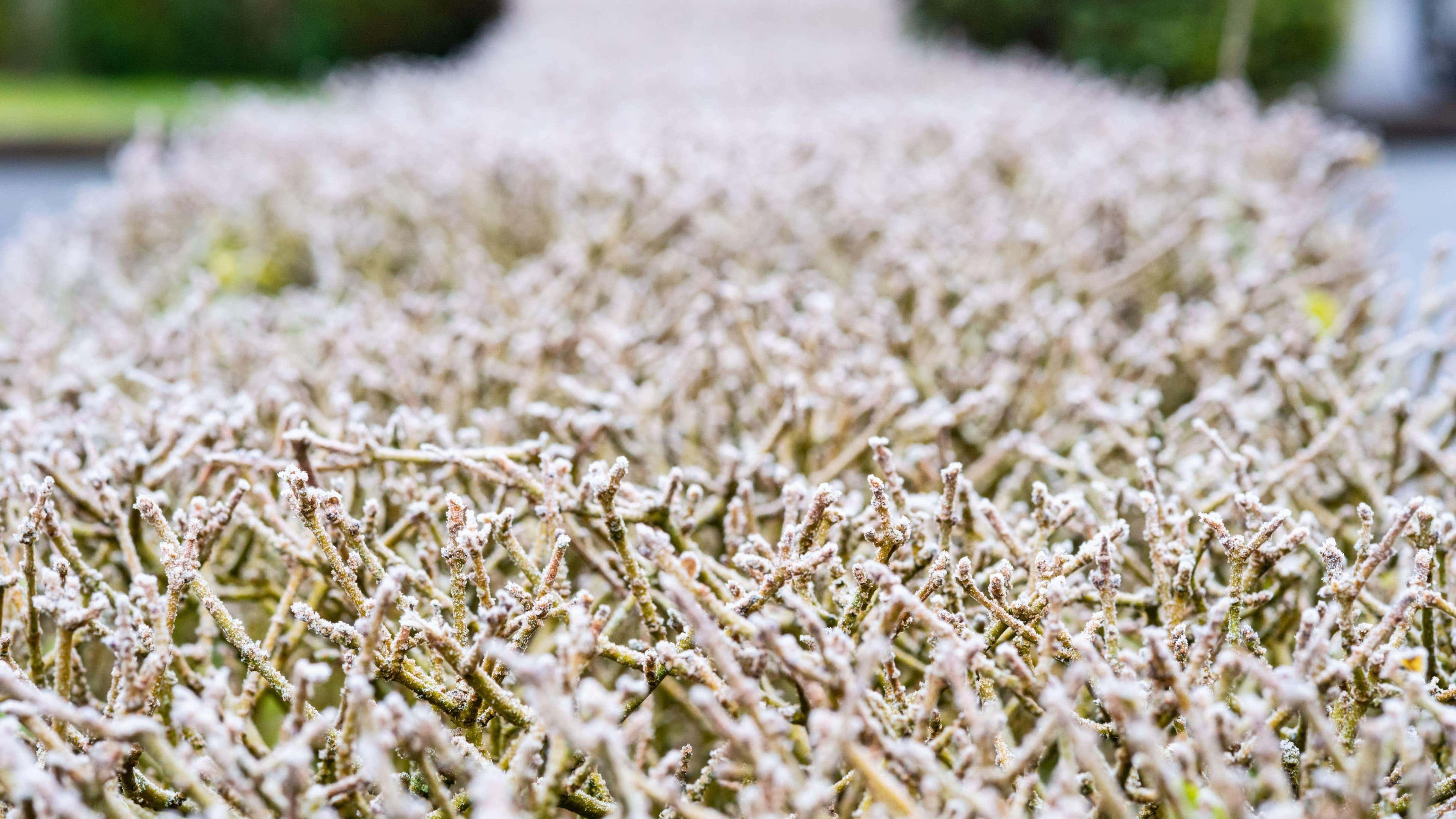 Coldest May night in five years recorded as more unsettled weather approaches