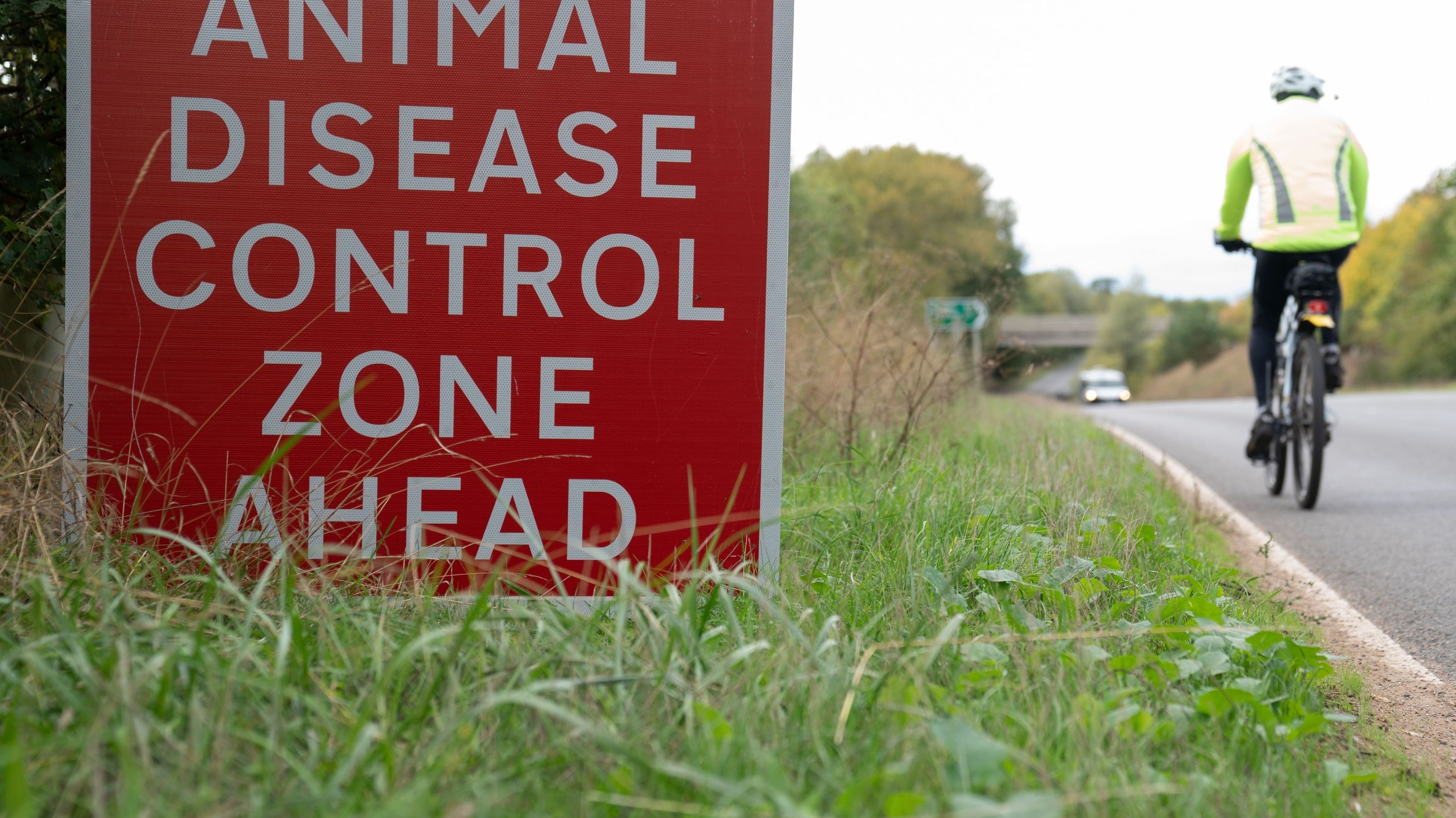Avian Influenza Prevention Zone to be lifted on Friday