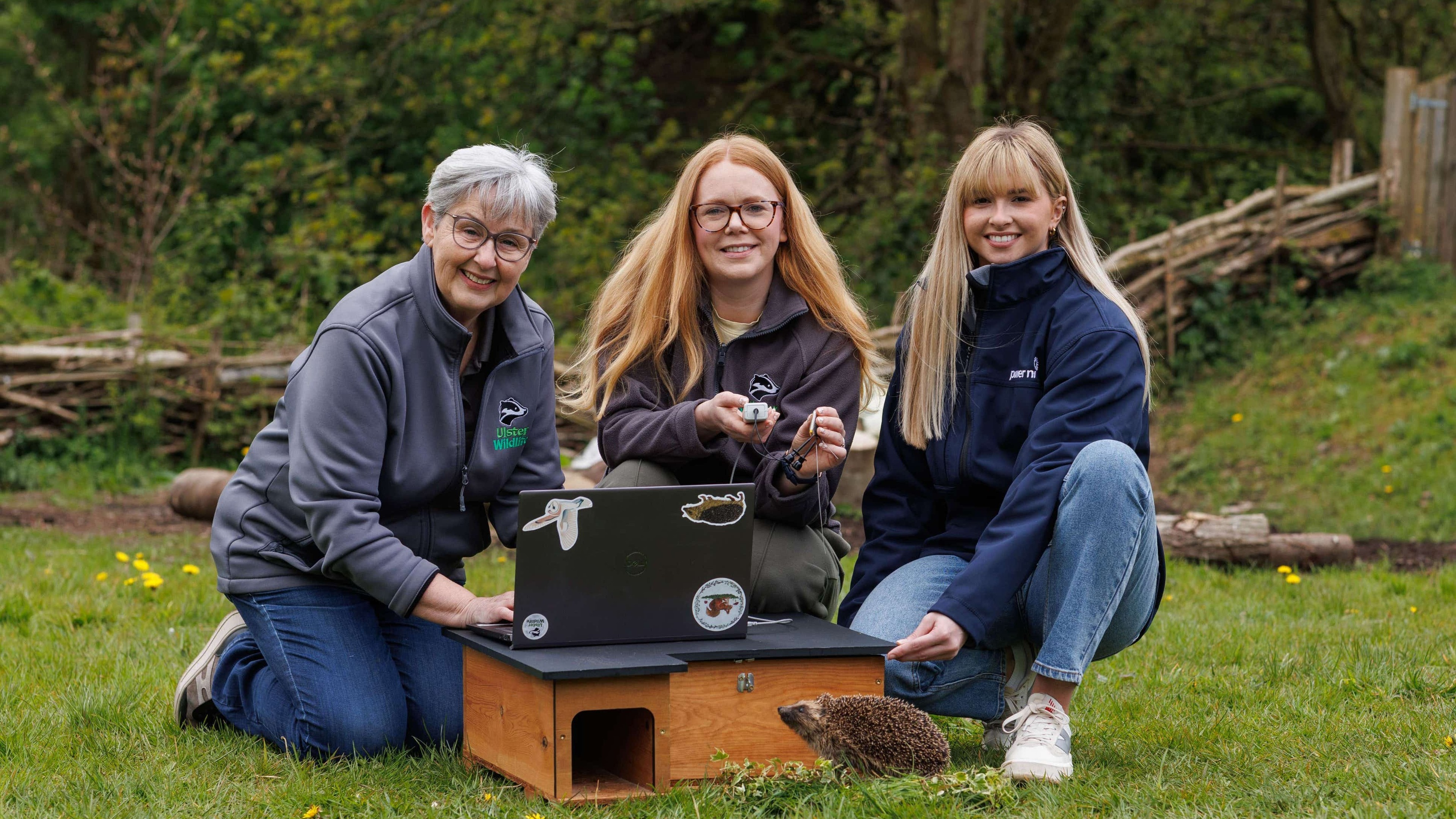 GPS tagging project launches to track hedgehogs in Northern Ireland