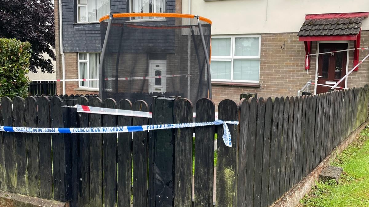 Man found stabbed to death alongside injured child as male arrested in Co Tyrone