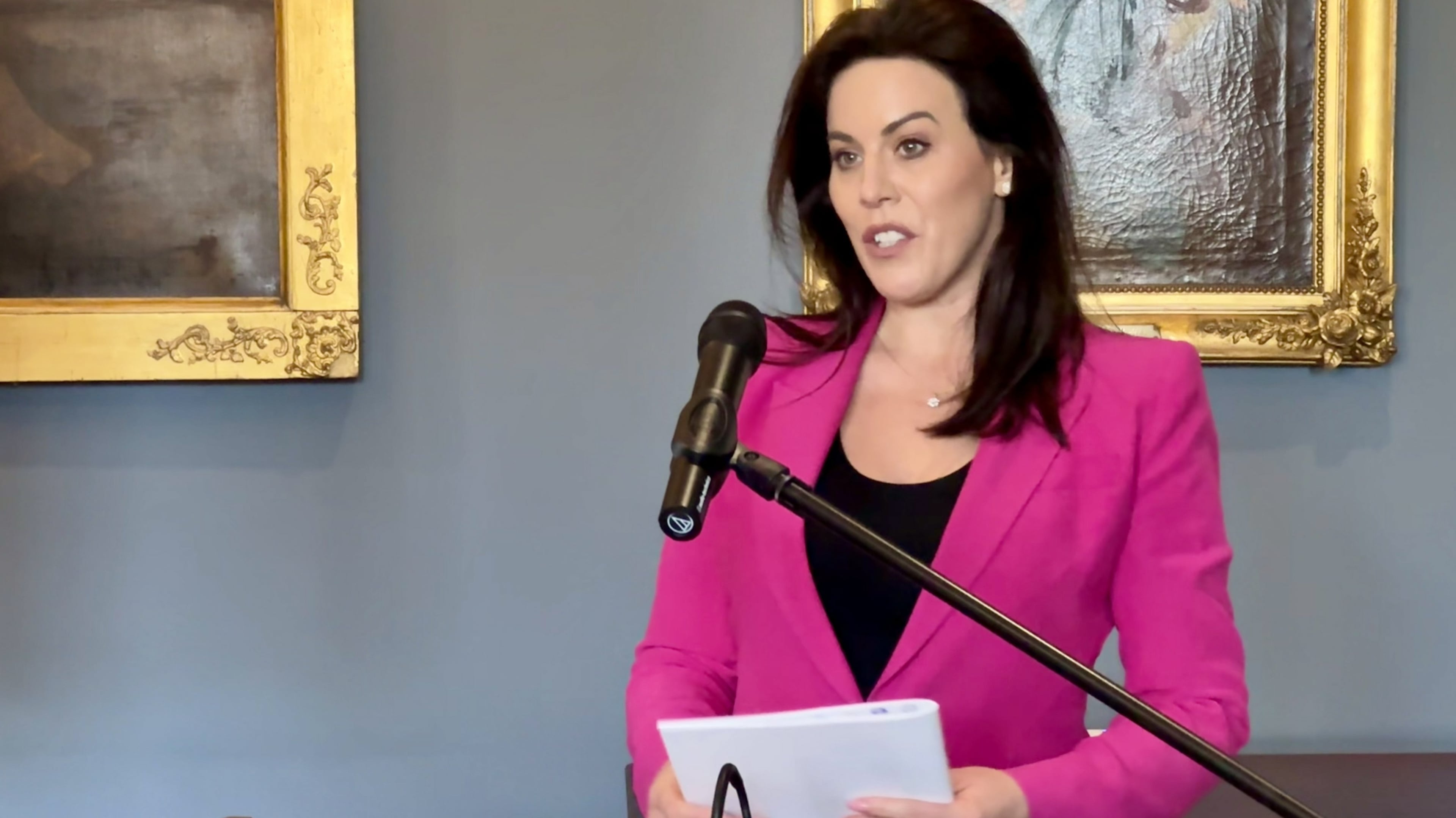 Pregnant women must be given choice of private care, National Maternity Hospital master warns