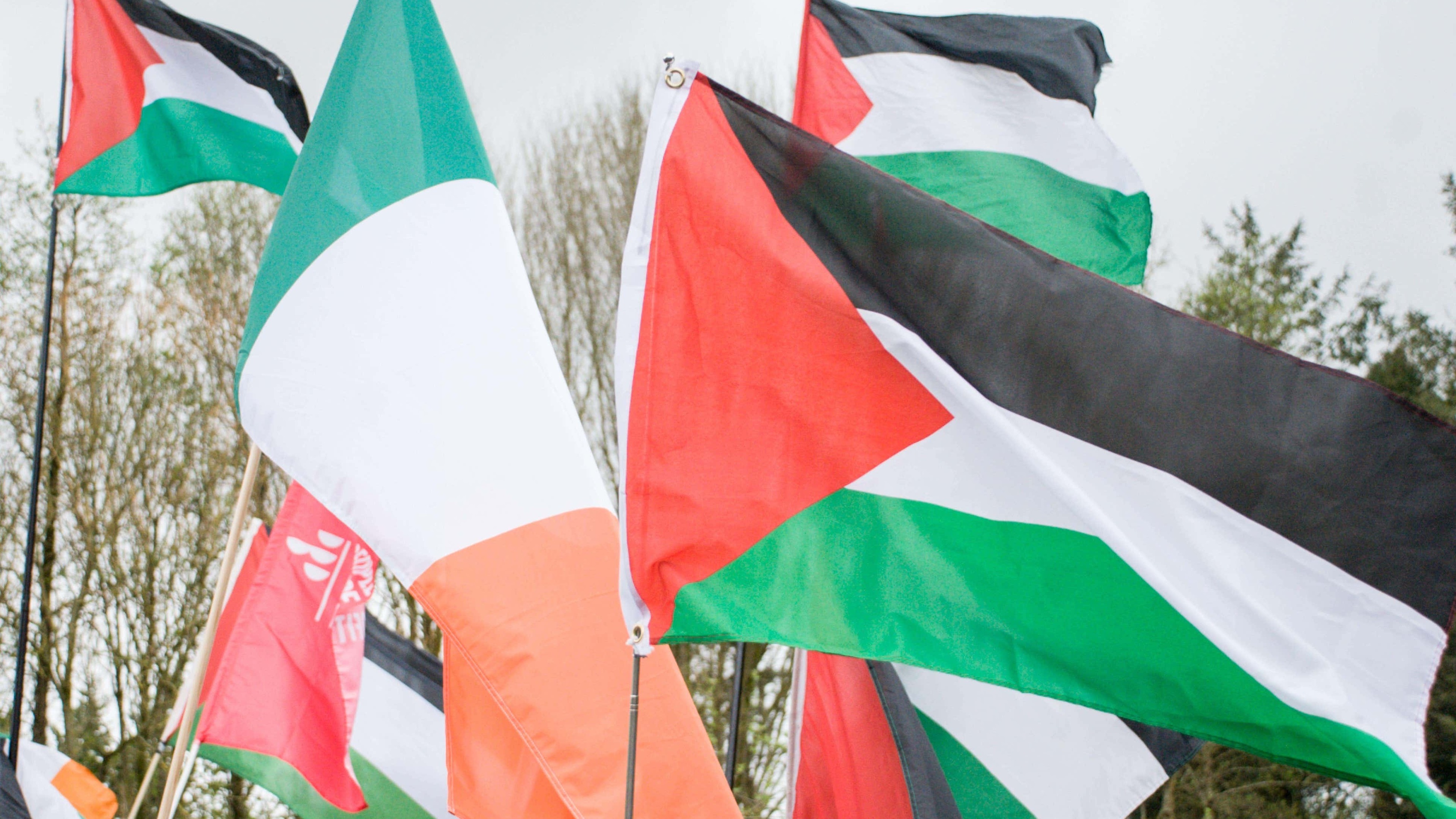 Irish flotilla participants taken by Israeli authorities released