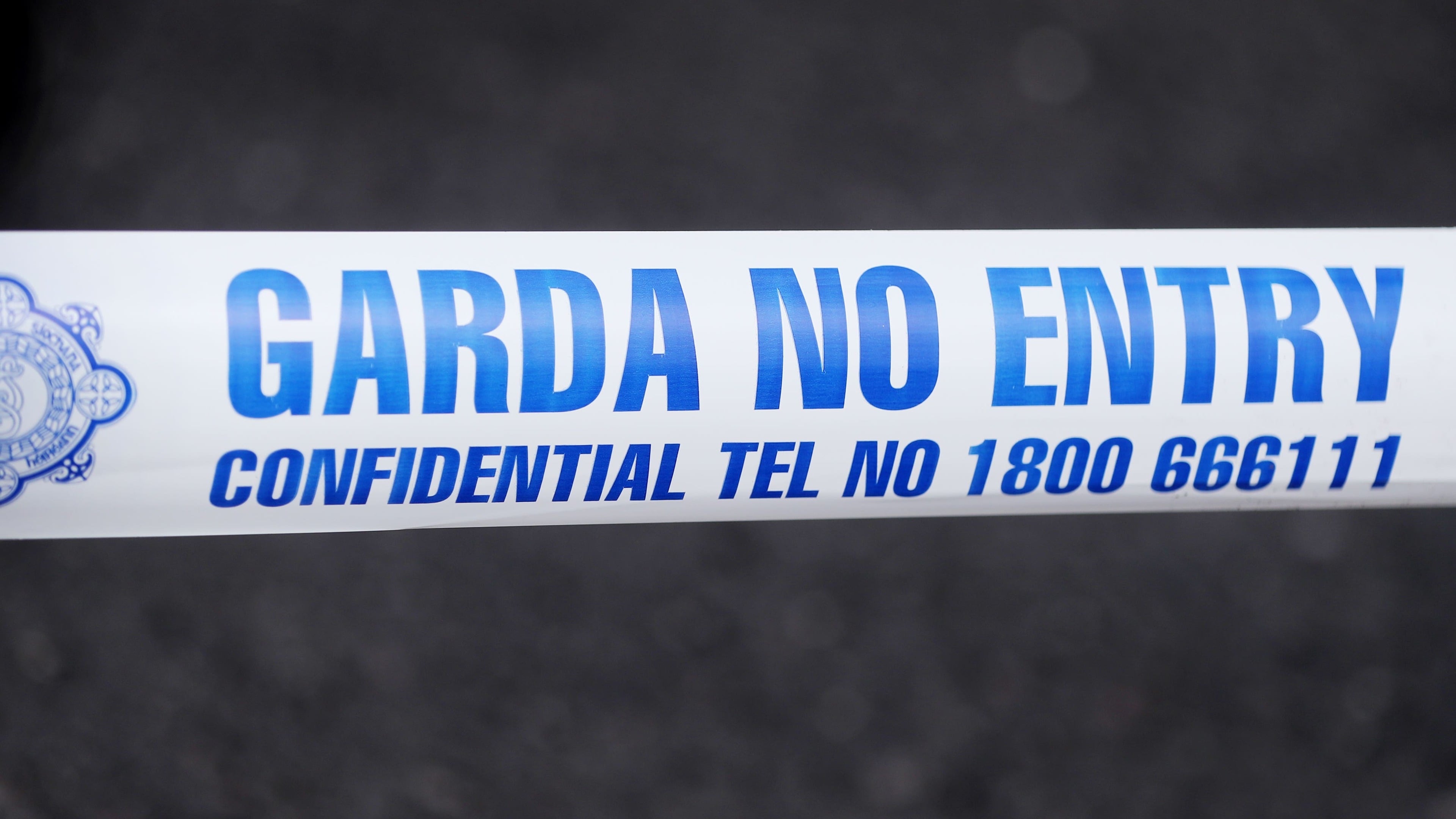Two people die in workplace incident in Co Offaly