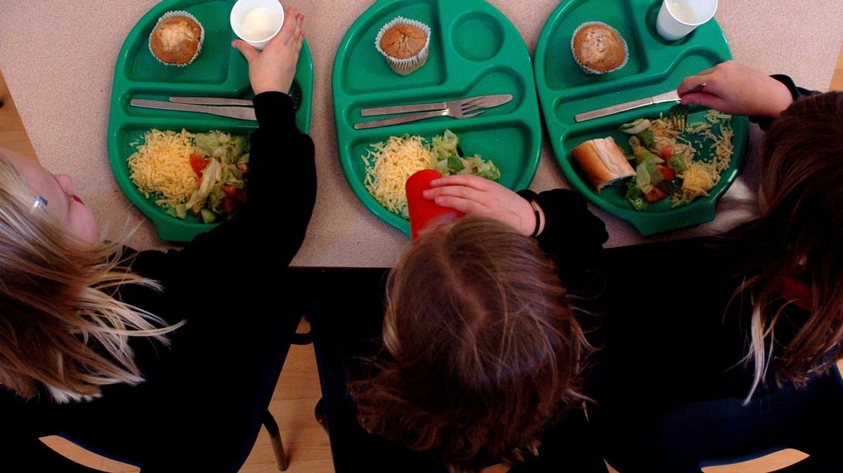 School meals scheme to be overhauled as reviews find 100,000 meals wasted daily