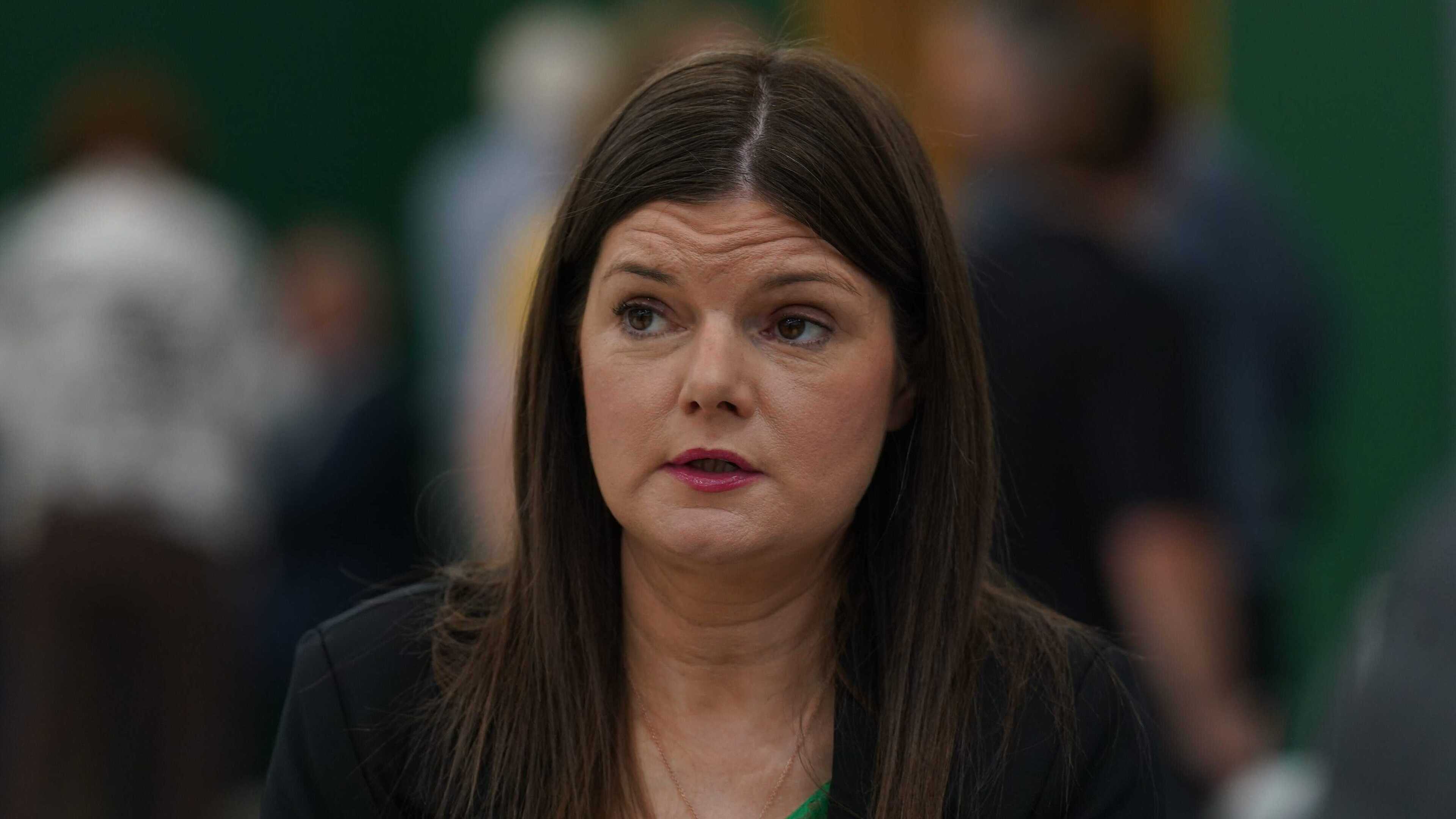 EU presidency should be used to advance Irish unity, Sinn Fein MEPs say