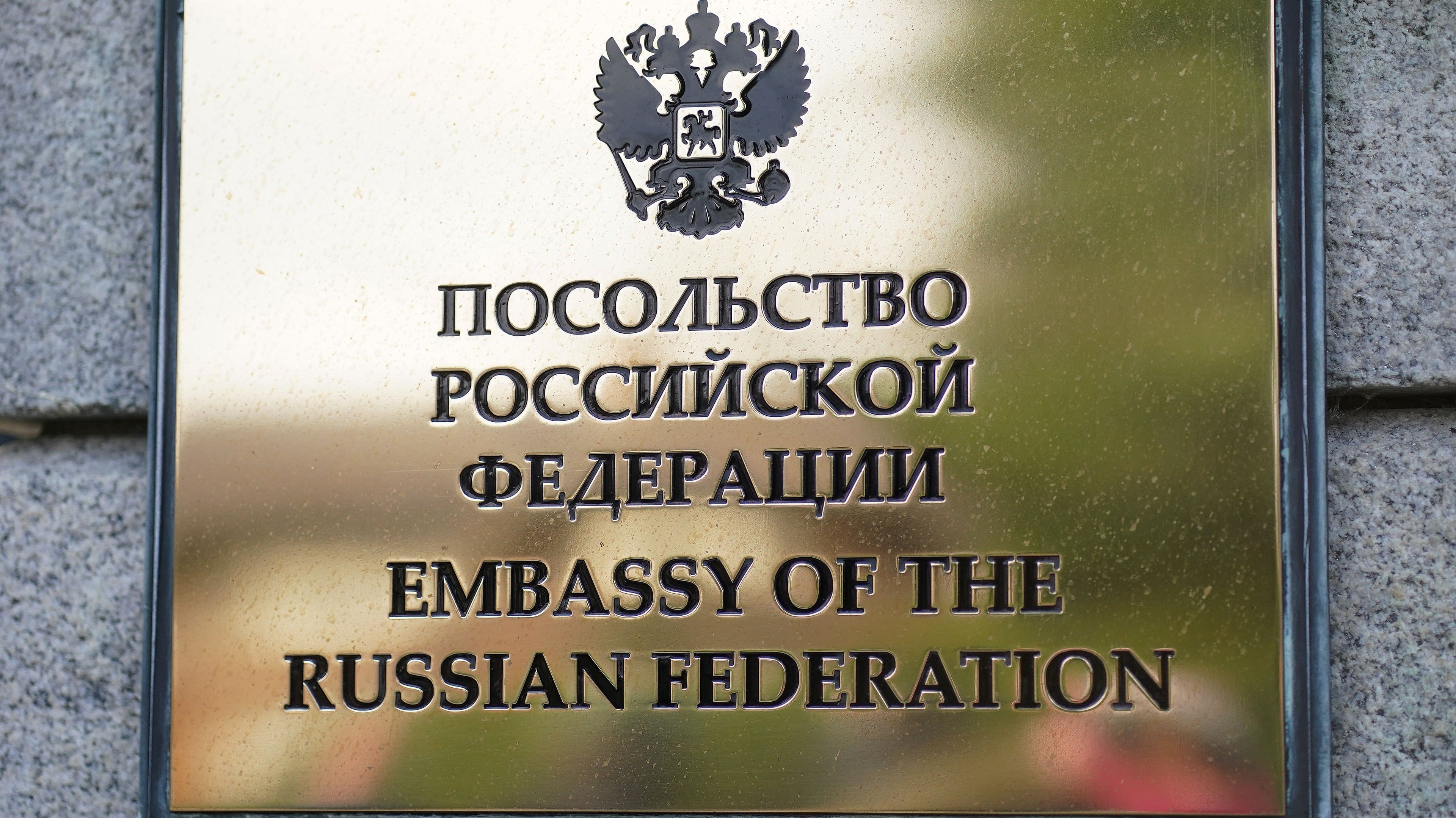 EU internal affairs commissioner calls for reducing visas issued to Russian citizens