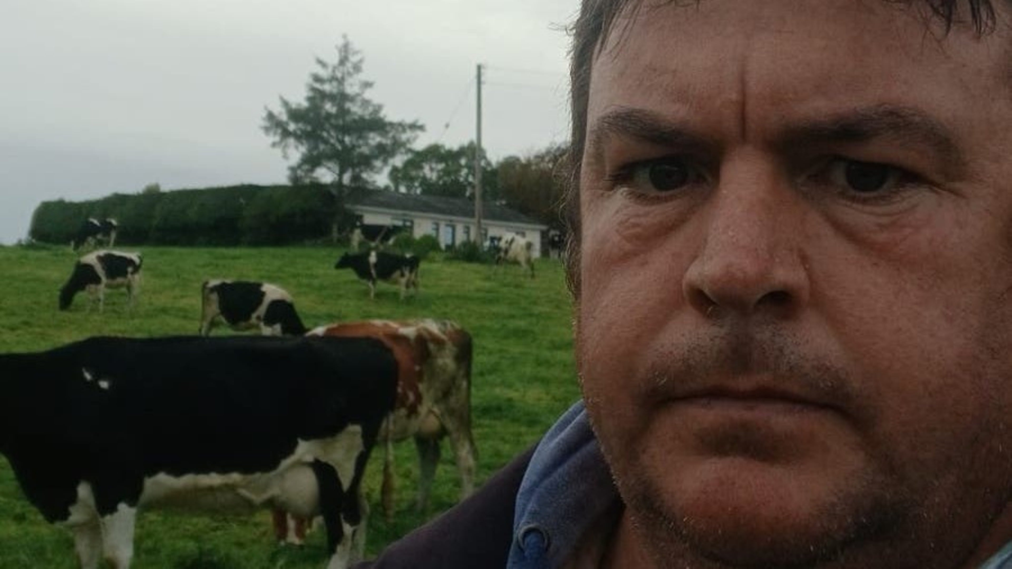 Mixed reaction to Budget from farmers