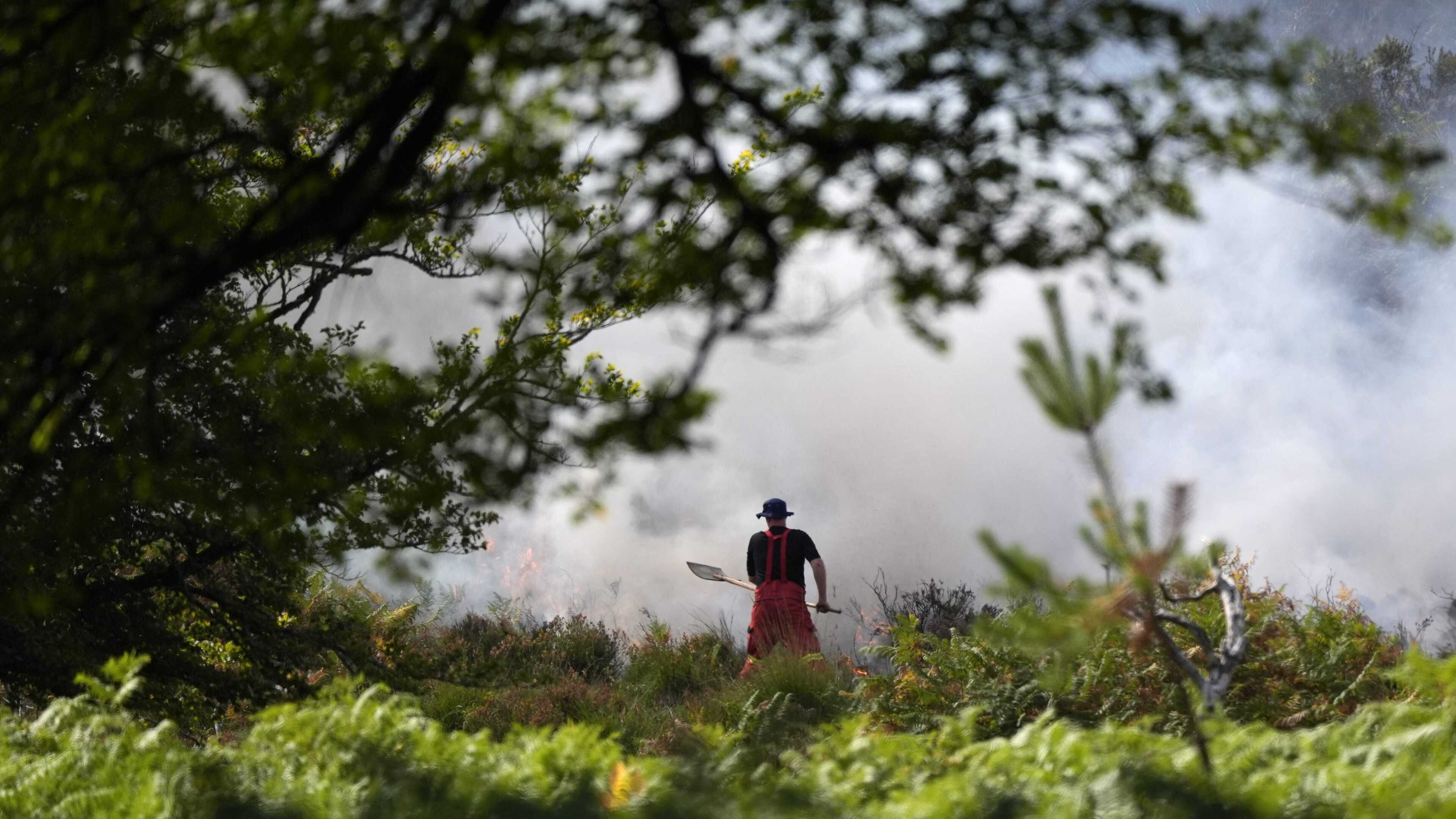More than 120 firefighters tackle New Forest blaze through the night