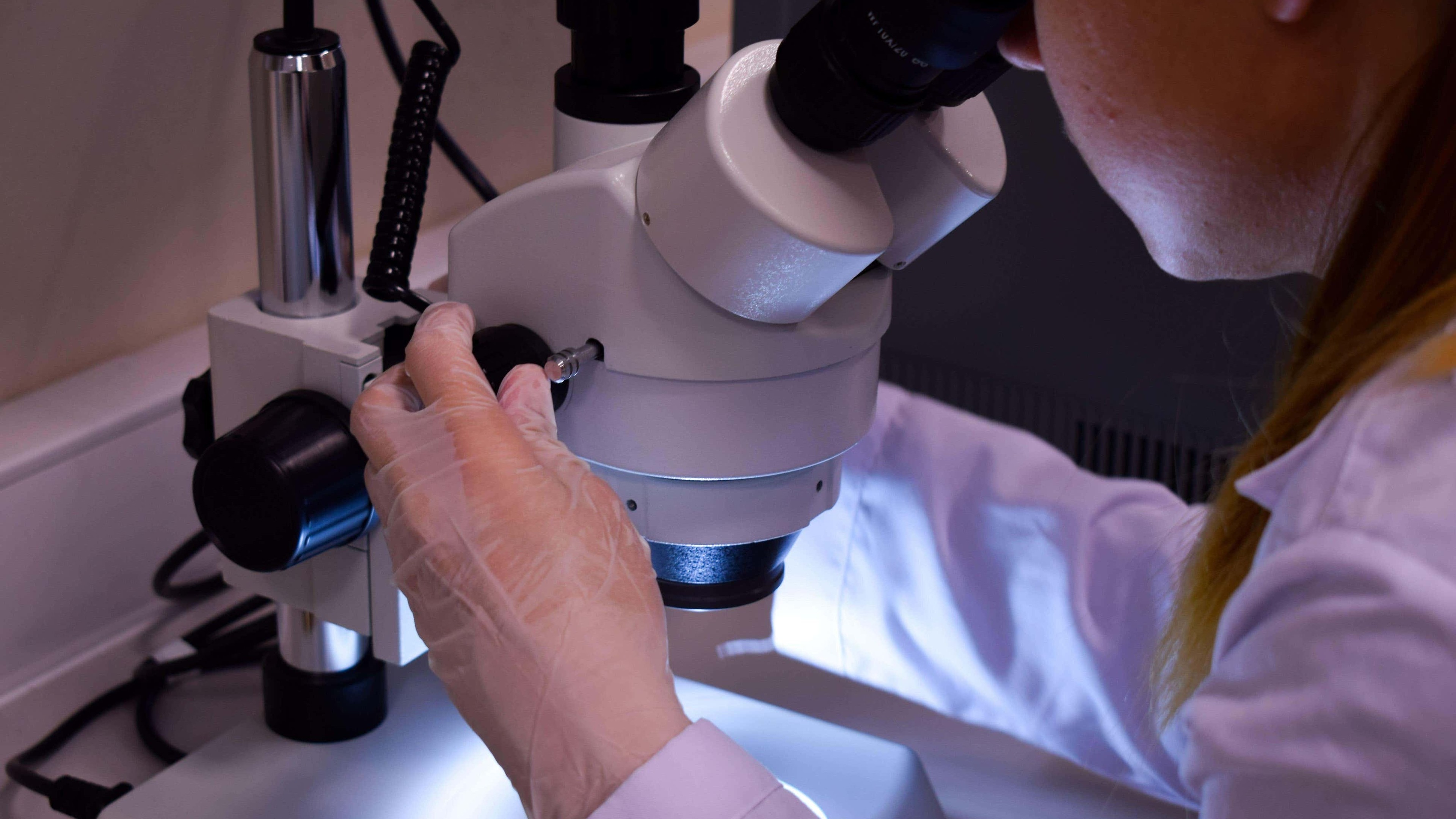 New cell therapy shows promise for treating liver disease, researchers say