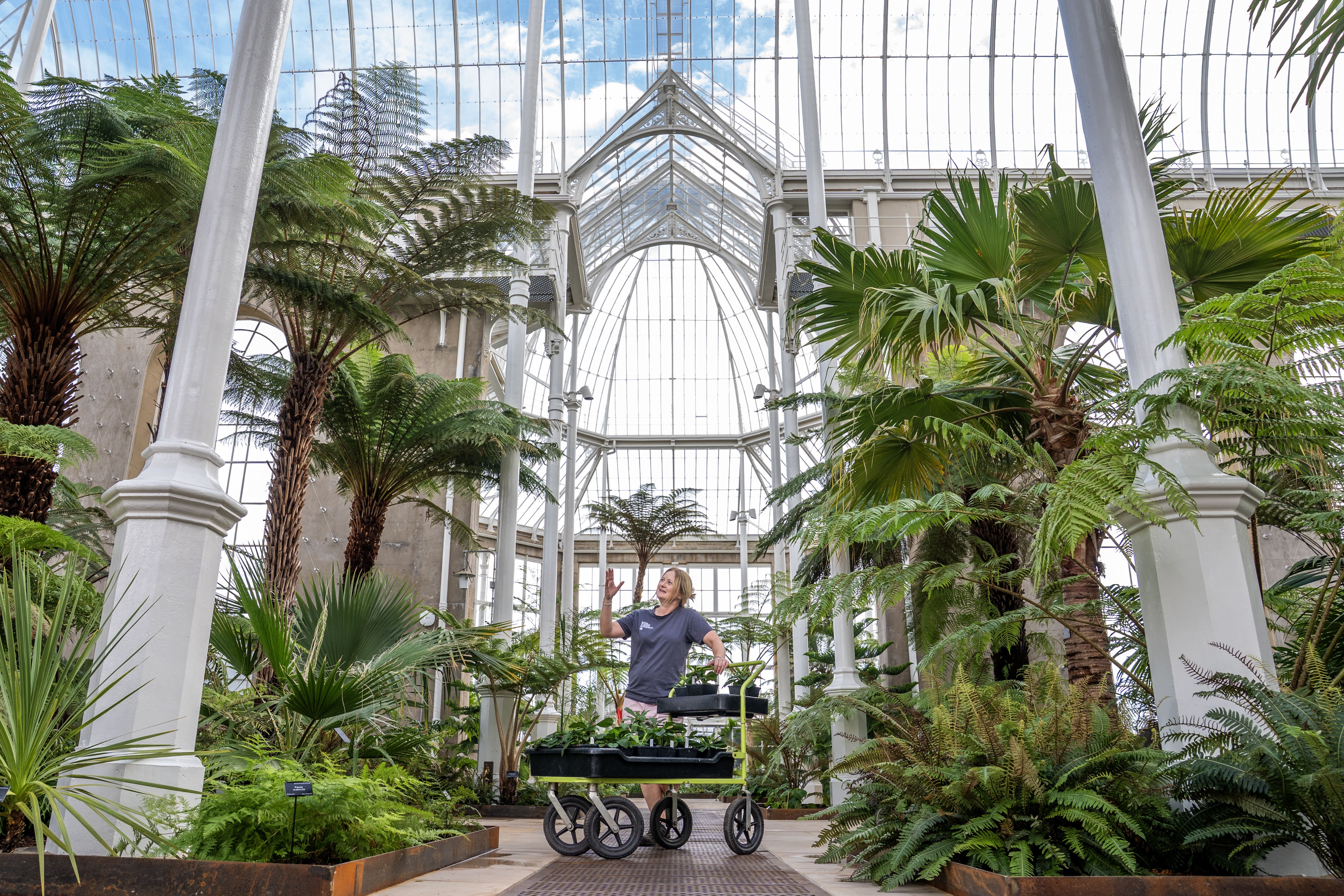 Tickets go on sale for Victorian Palm Houses reopening after five-year closure