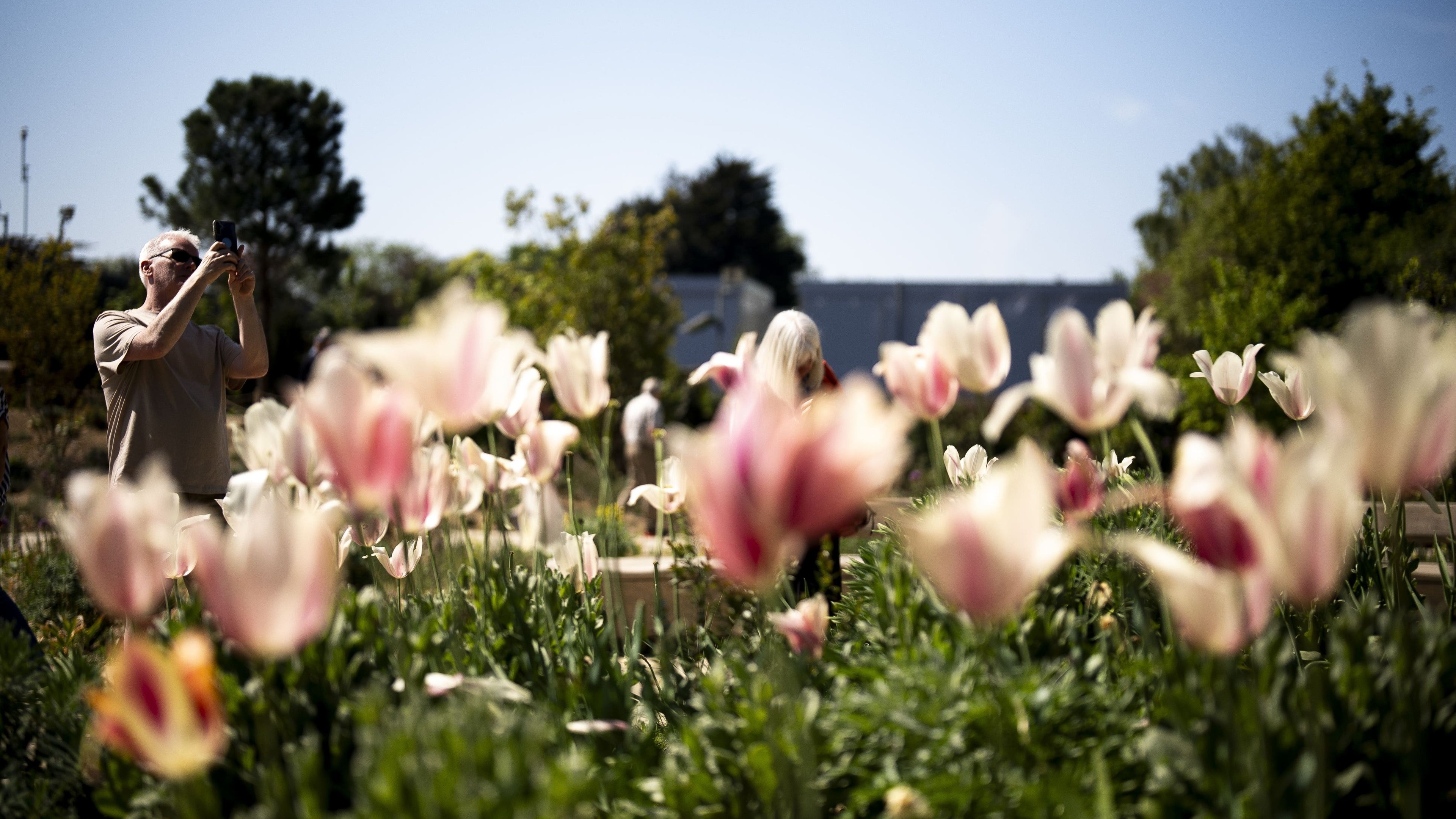 Temperatures could climb into mid-20s by bank holiday weekend, says Met Office
