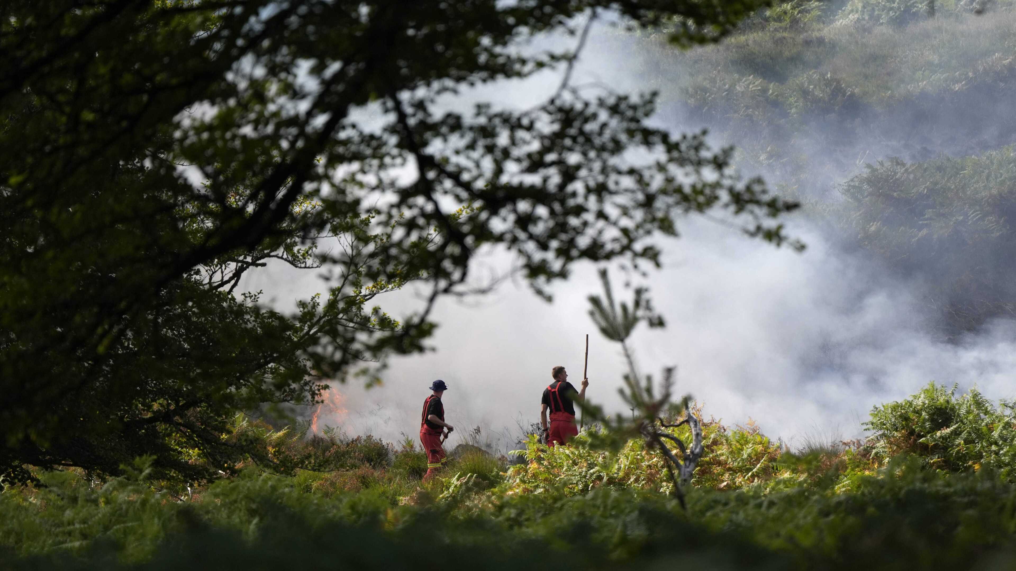 More than 120 firefighters tackle New Forest wildfire after vehicle blaze spreads to A31 heathland