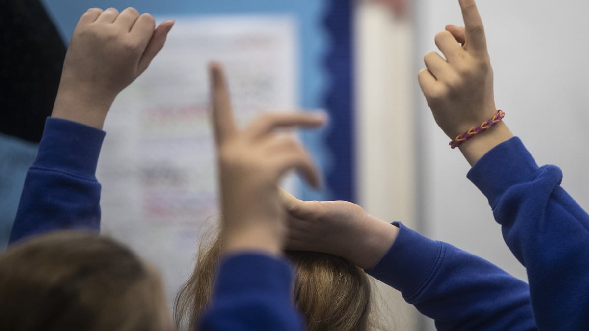 History teachers warn new  curriculum proposals will endanger future of subject