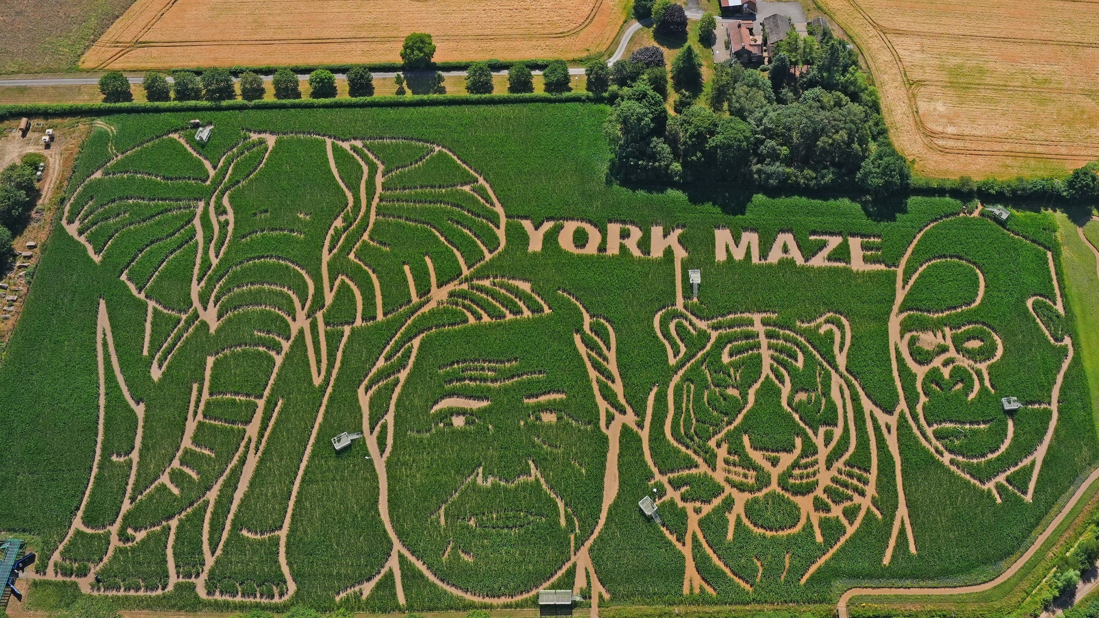 15-acre maze design featuring David Attenborough celebrates his 100th birthday