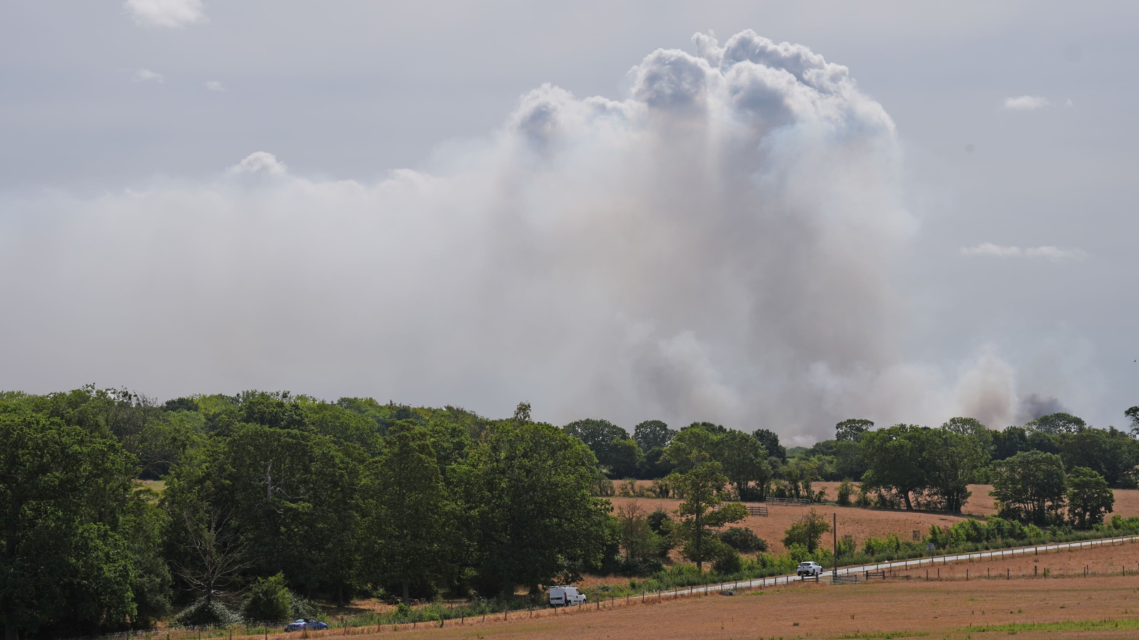 UK faces drought, heatwaves and wildfires as summer extremes cause deaths