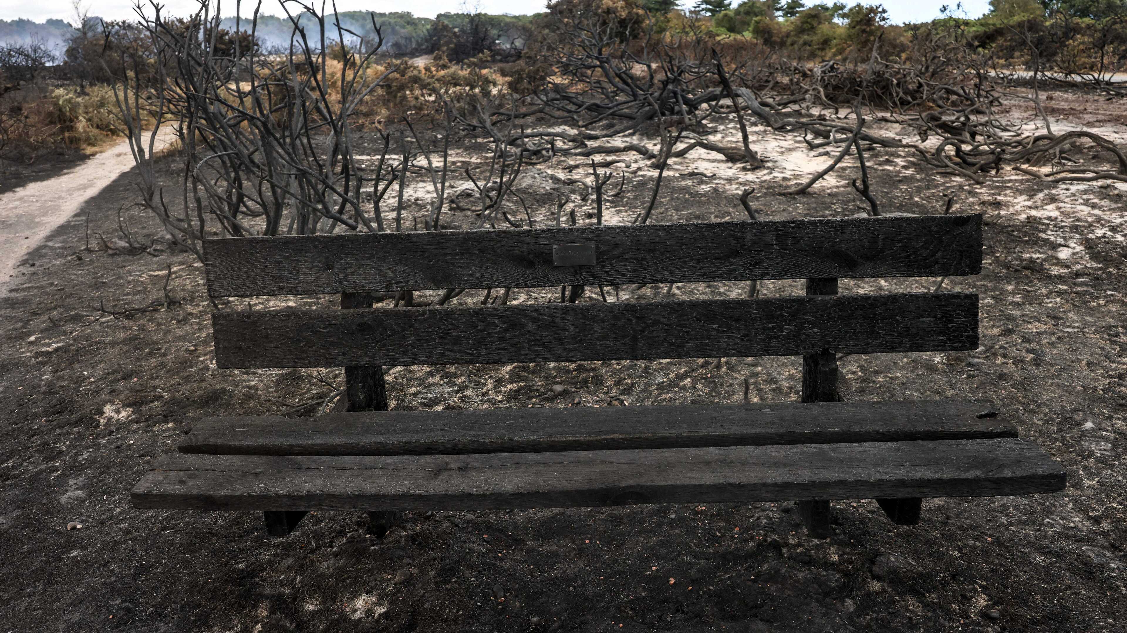 Suffolk wildfire evacuees given 15-minute window to collect belongings