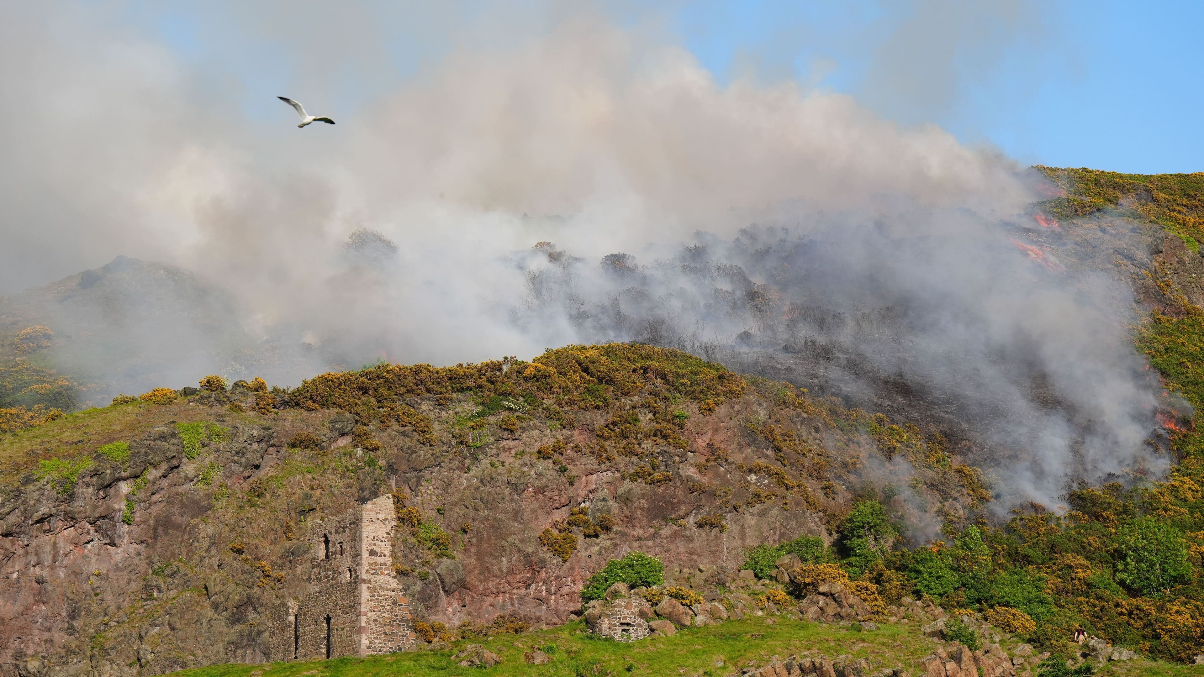 Cause of Arthur’s Seat fire yet to be established