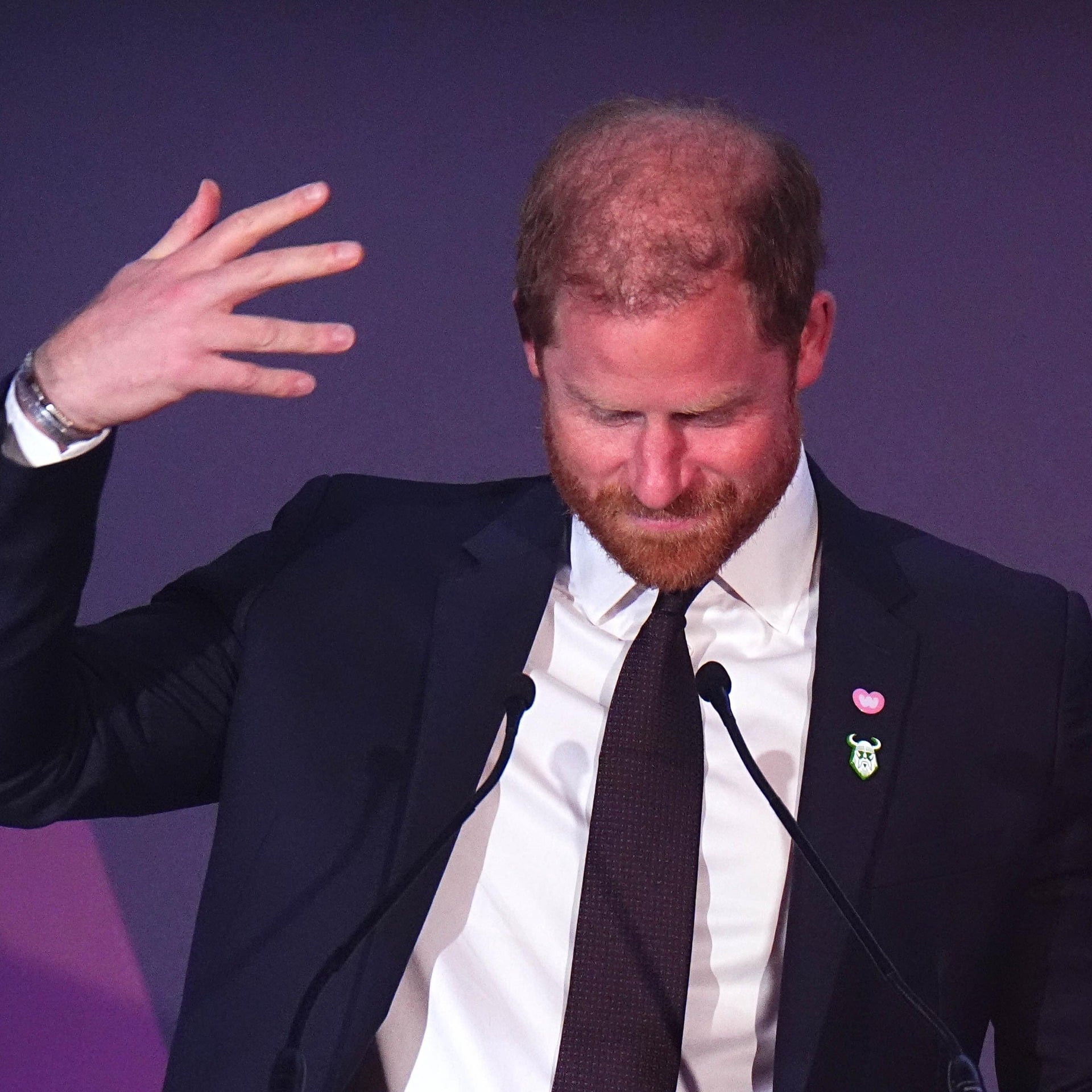 Harry praises mums and dads at event for children with complex medical  needs | Belfast Telegraph
