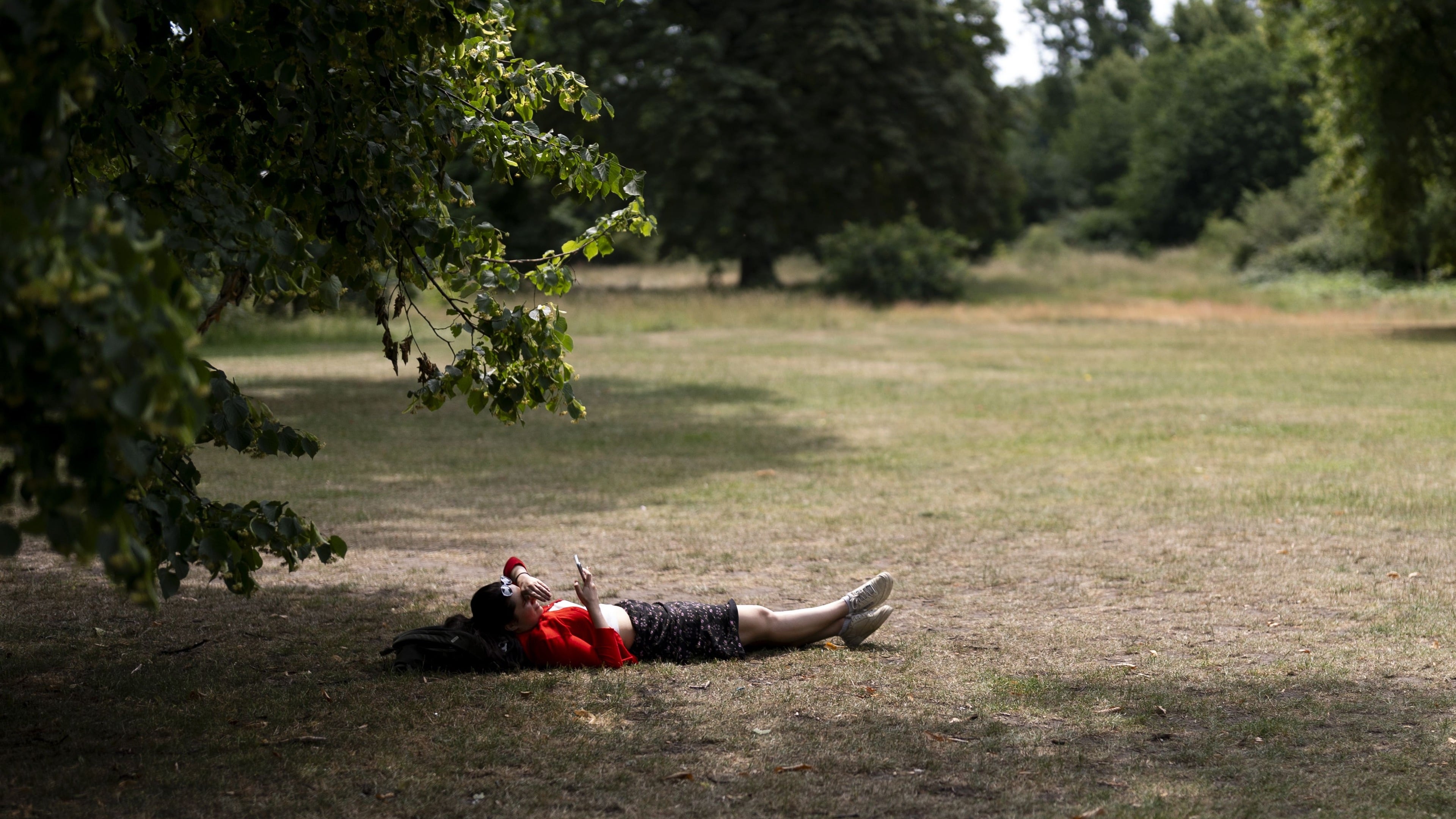 Royal Parks staff prepare for scorching conditions across London’s public green spaces