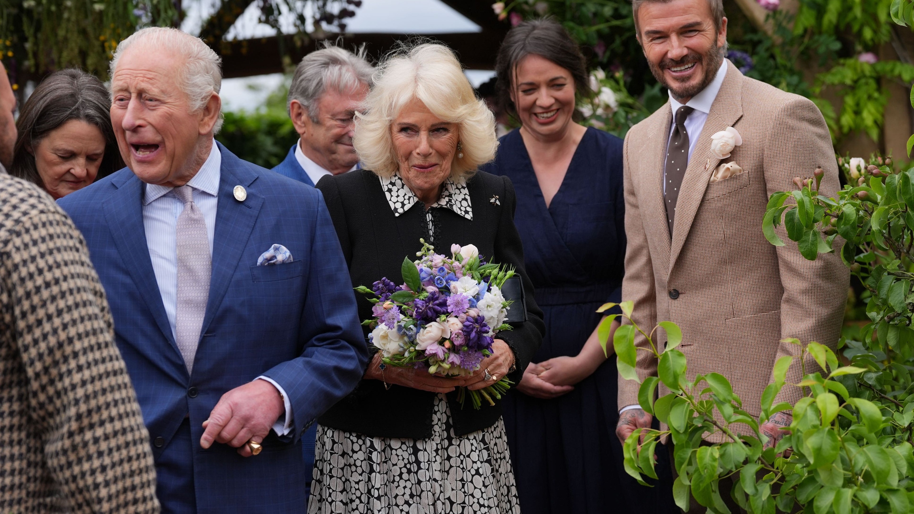 Sir David Beckham is all smiles as he meets the King at Chelsea Flower Show