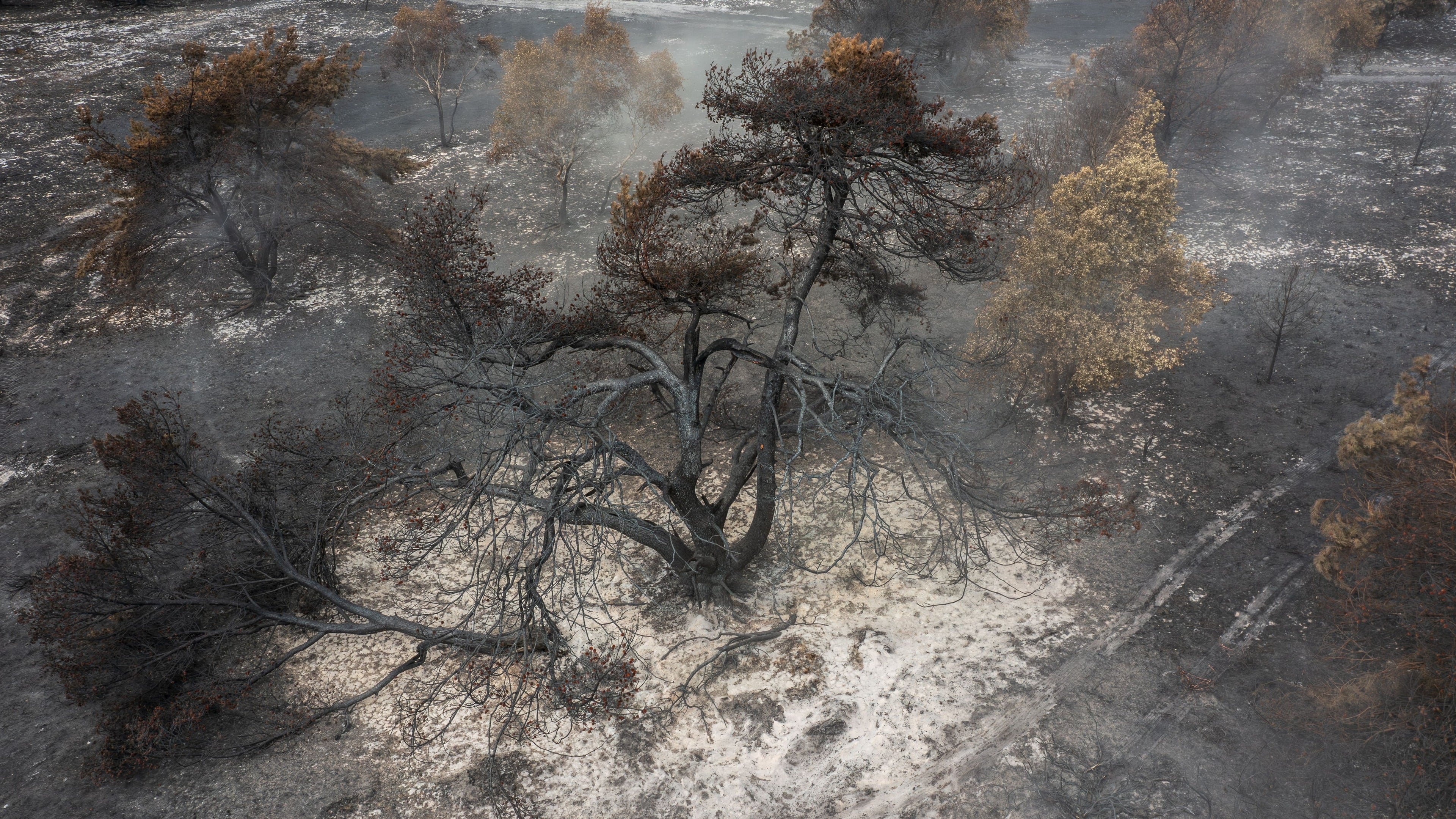 National Trust warns public to stay away from Dunwich Heath amid ongoing fire risk