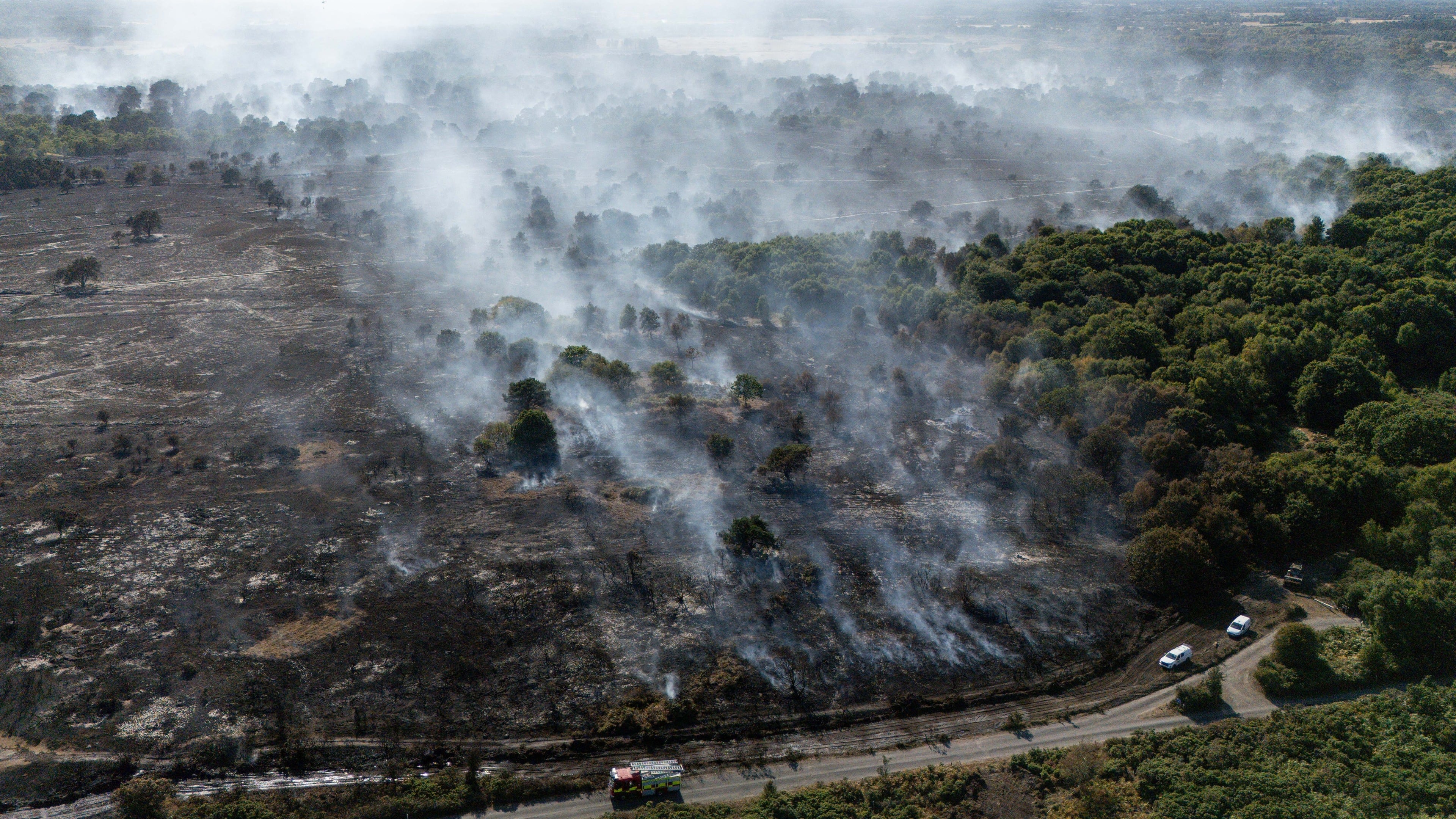 Crews reduce appliances at Suffolk wildfire as National Trust launches fundraiser
