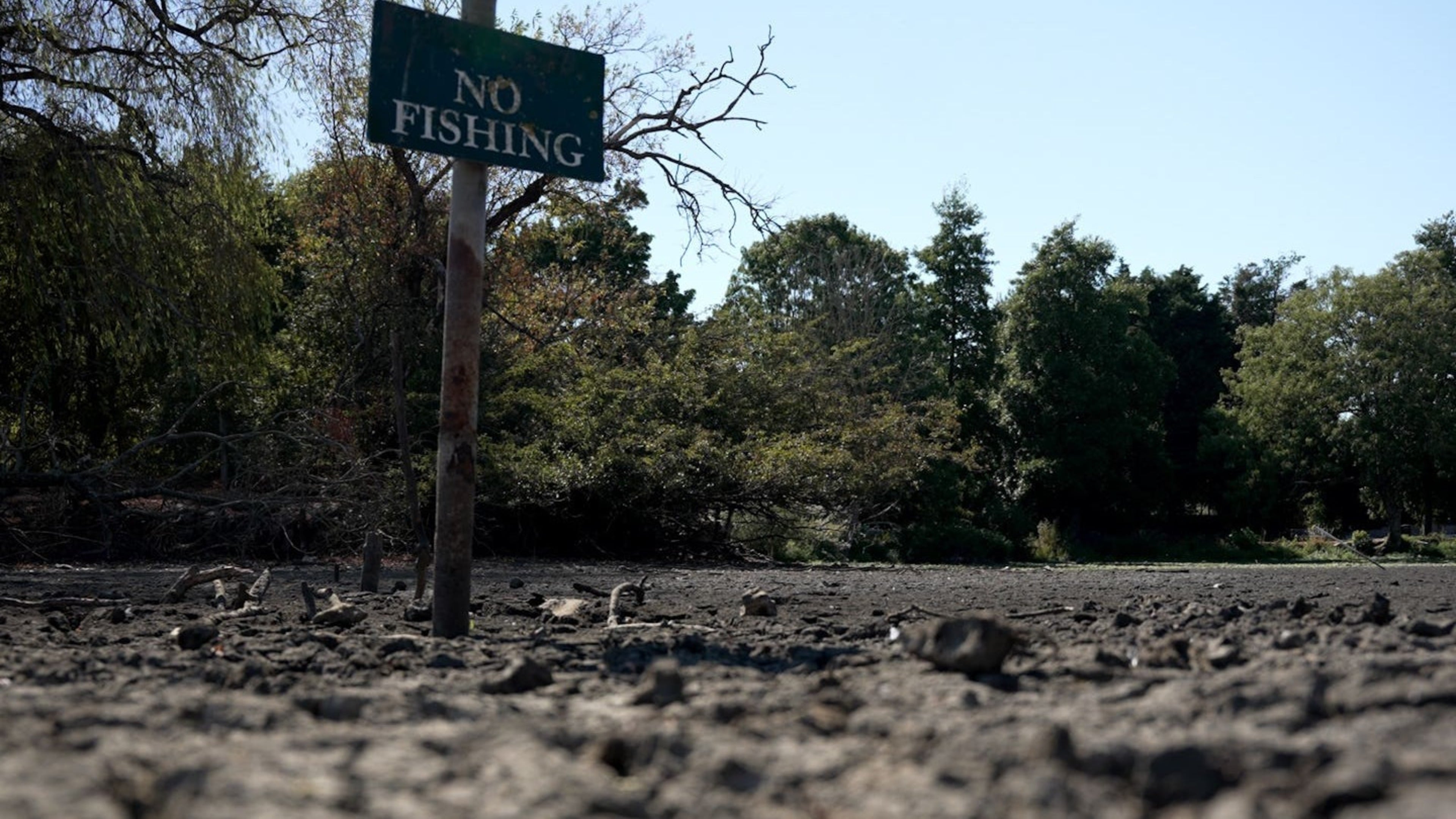Experts warn heat and drought in the UK will worsen without climate action