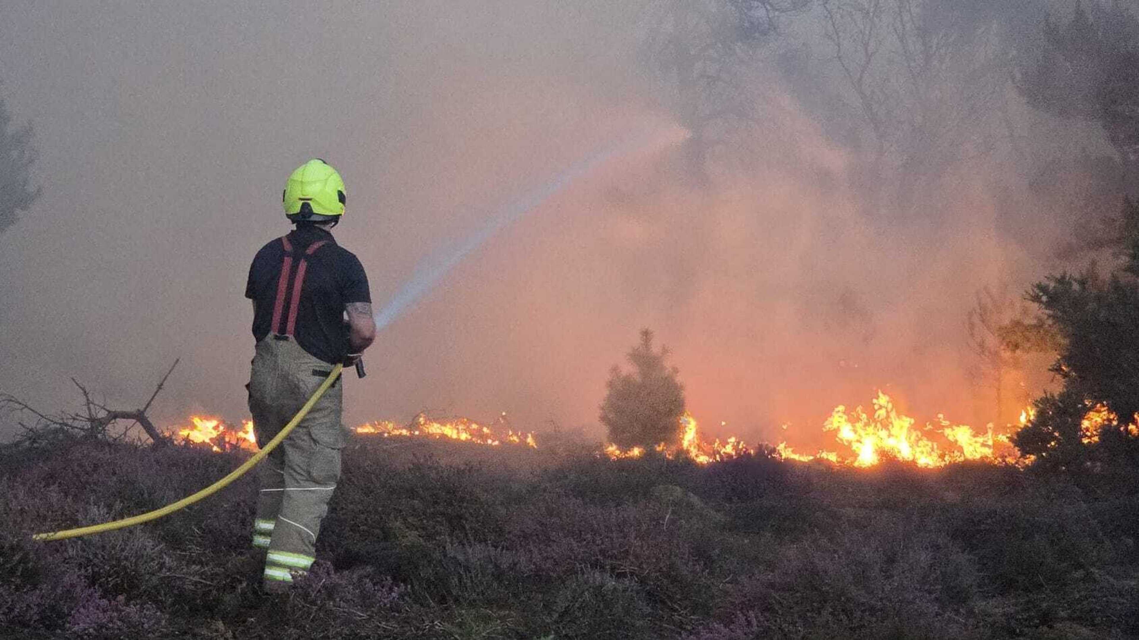 Holiday park evacuated as Suffolk wildfire spreads to about 100 hectares