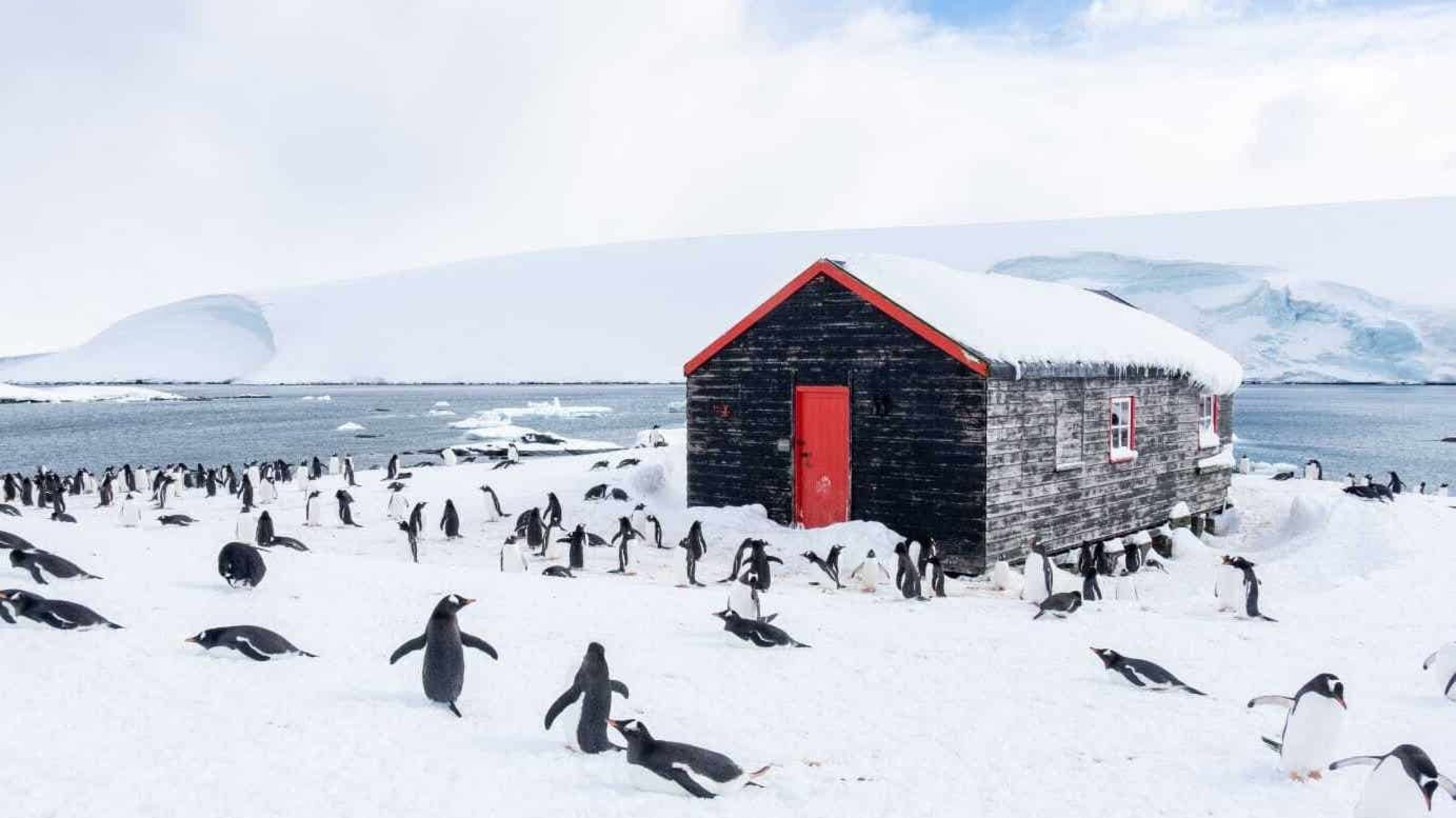 Teams face months in Antarctica on mission to save base from climate change