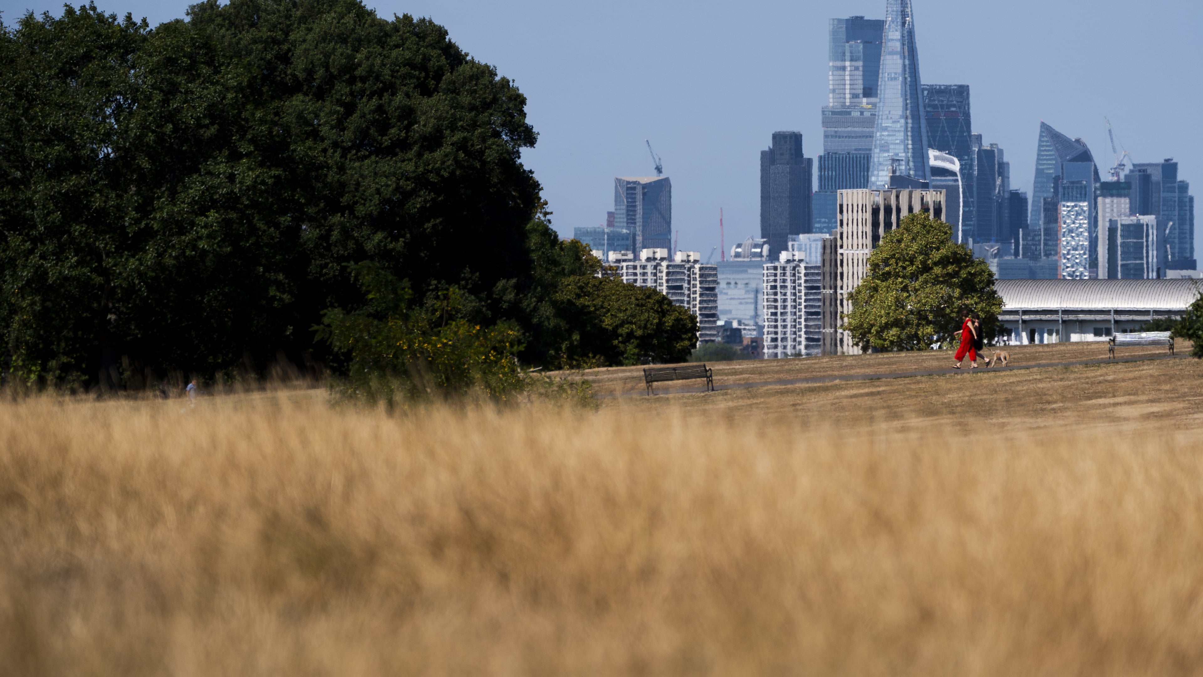UK PM to chair emergency Cobra meeting amid ‘extreme heat’ warning