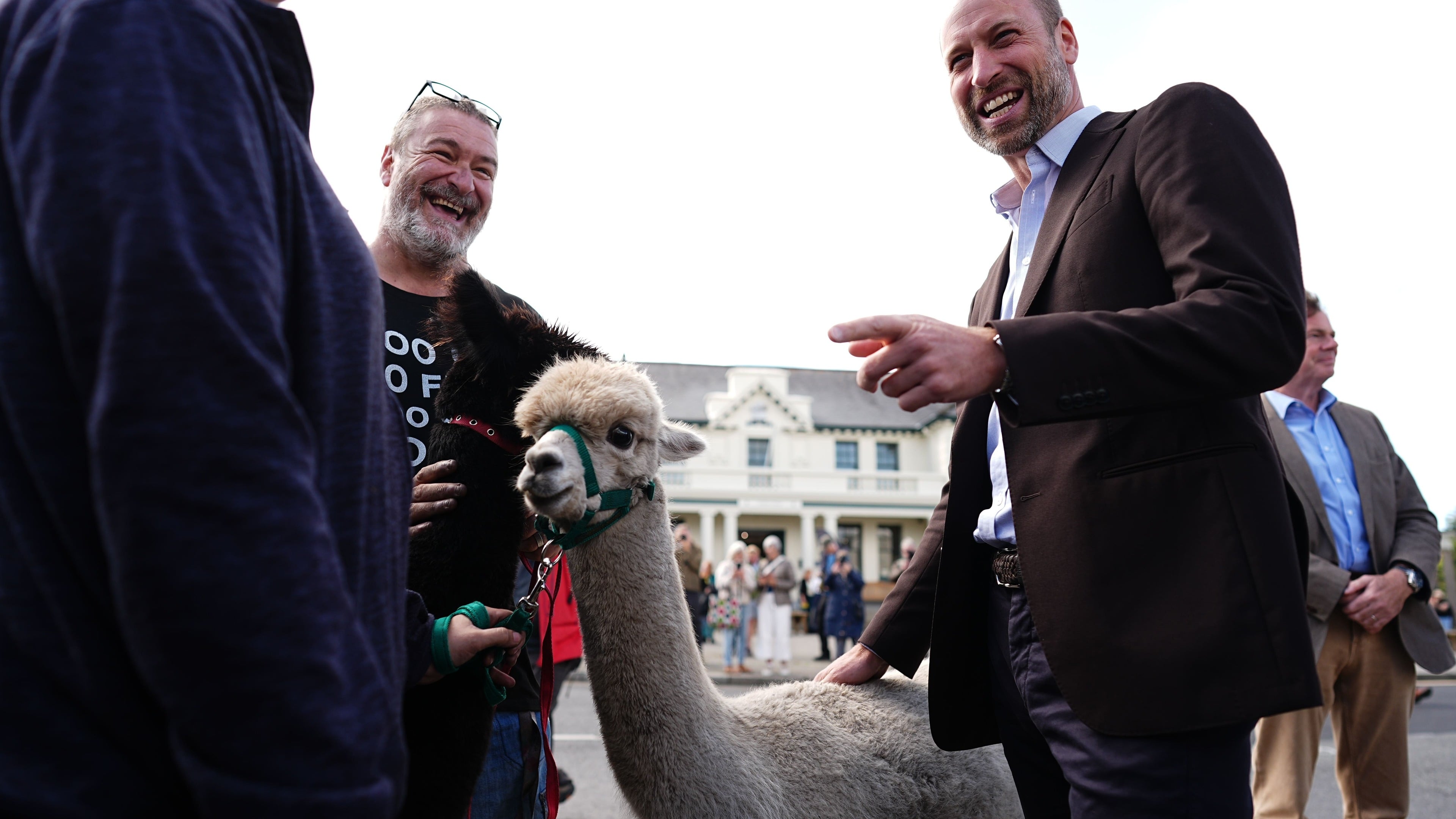 Prince of Wales strokes alpacas during visit to Dartmoor